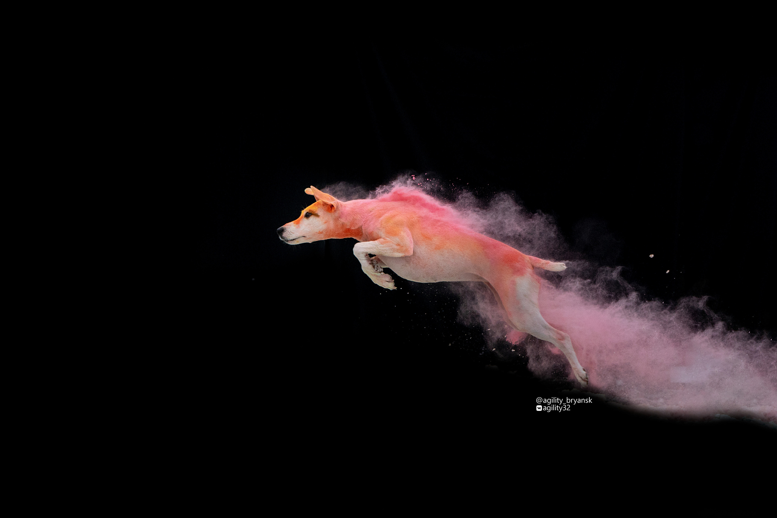 Краски Холи