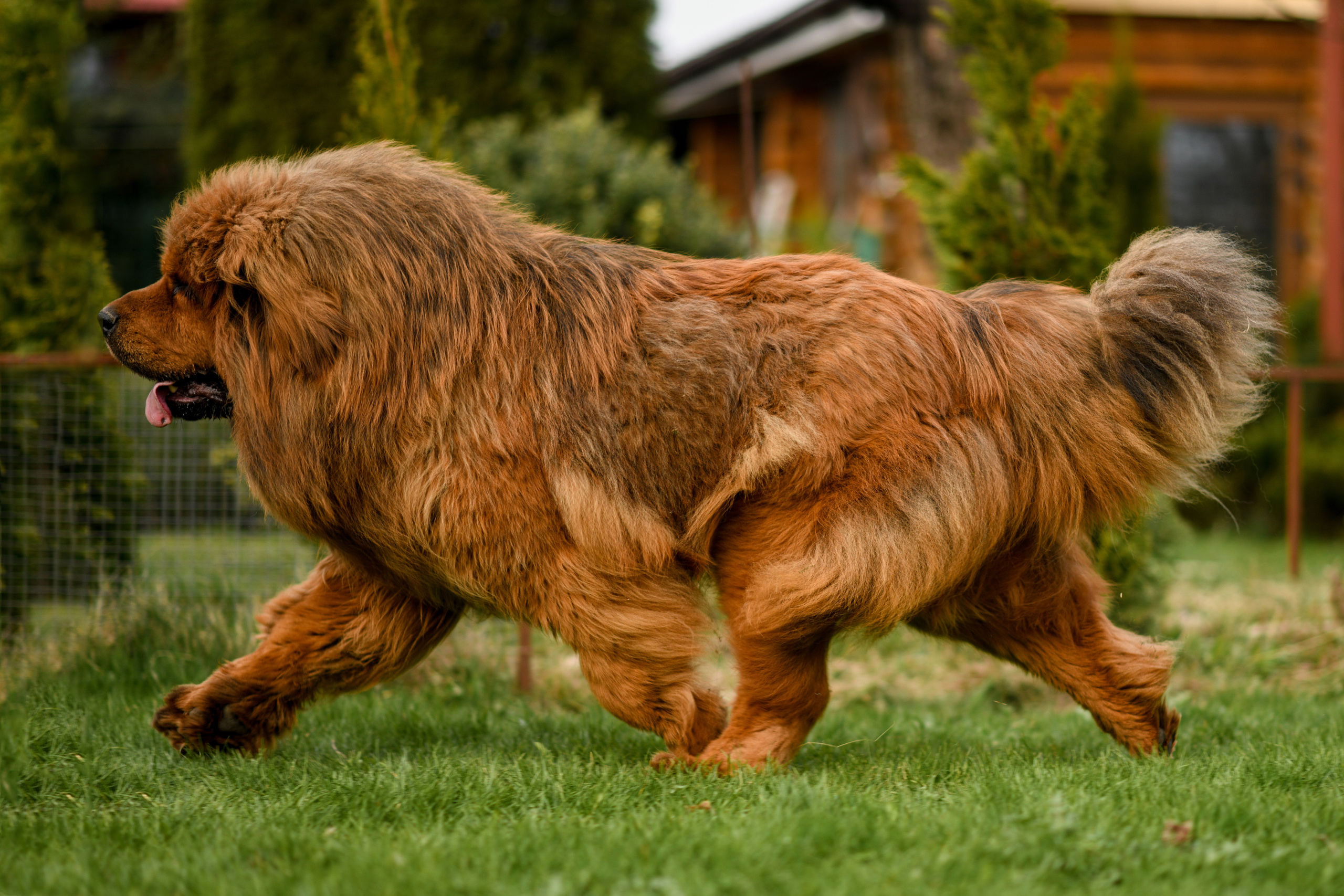 Экстерьерная съёмка