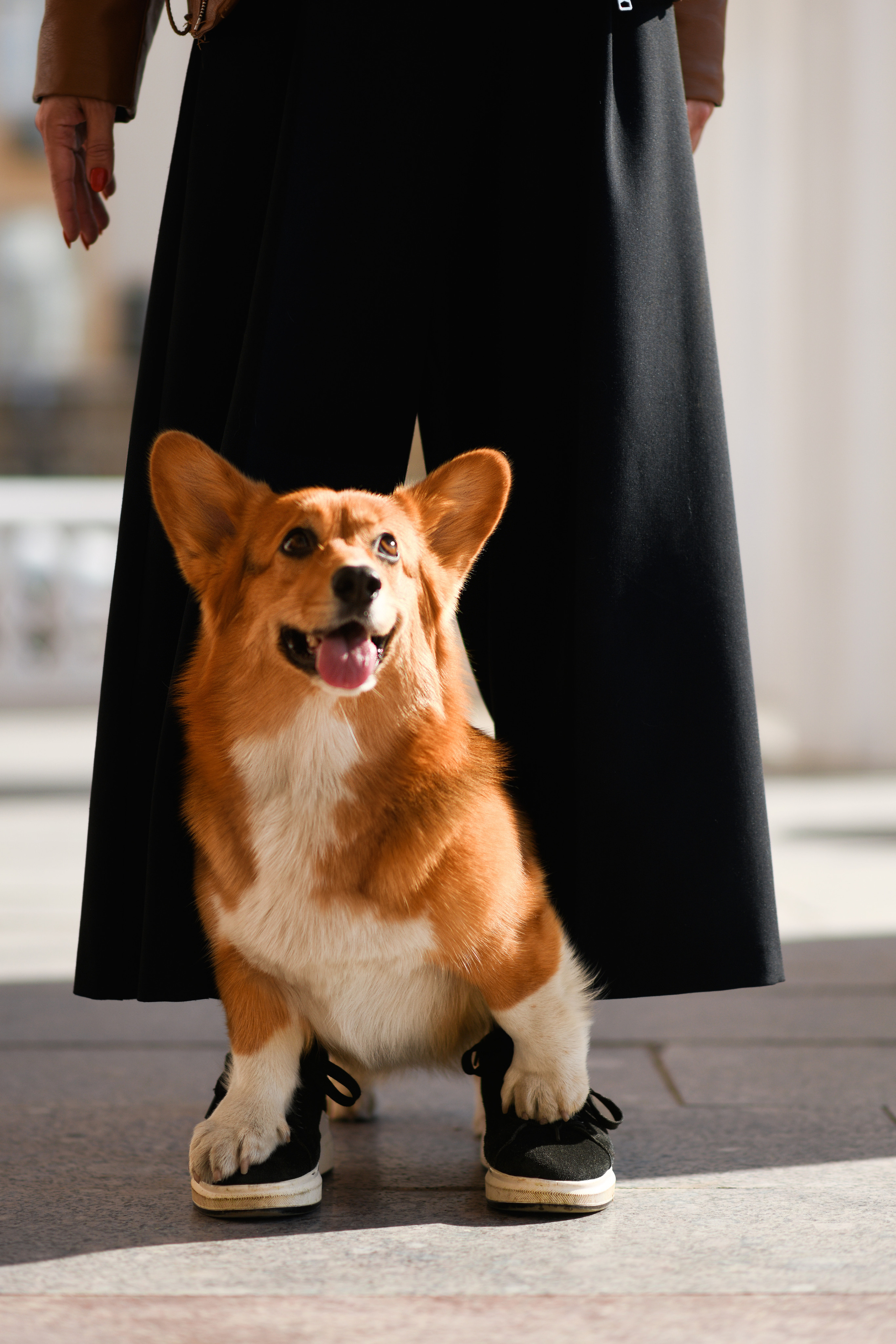 Художественная съёмка