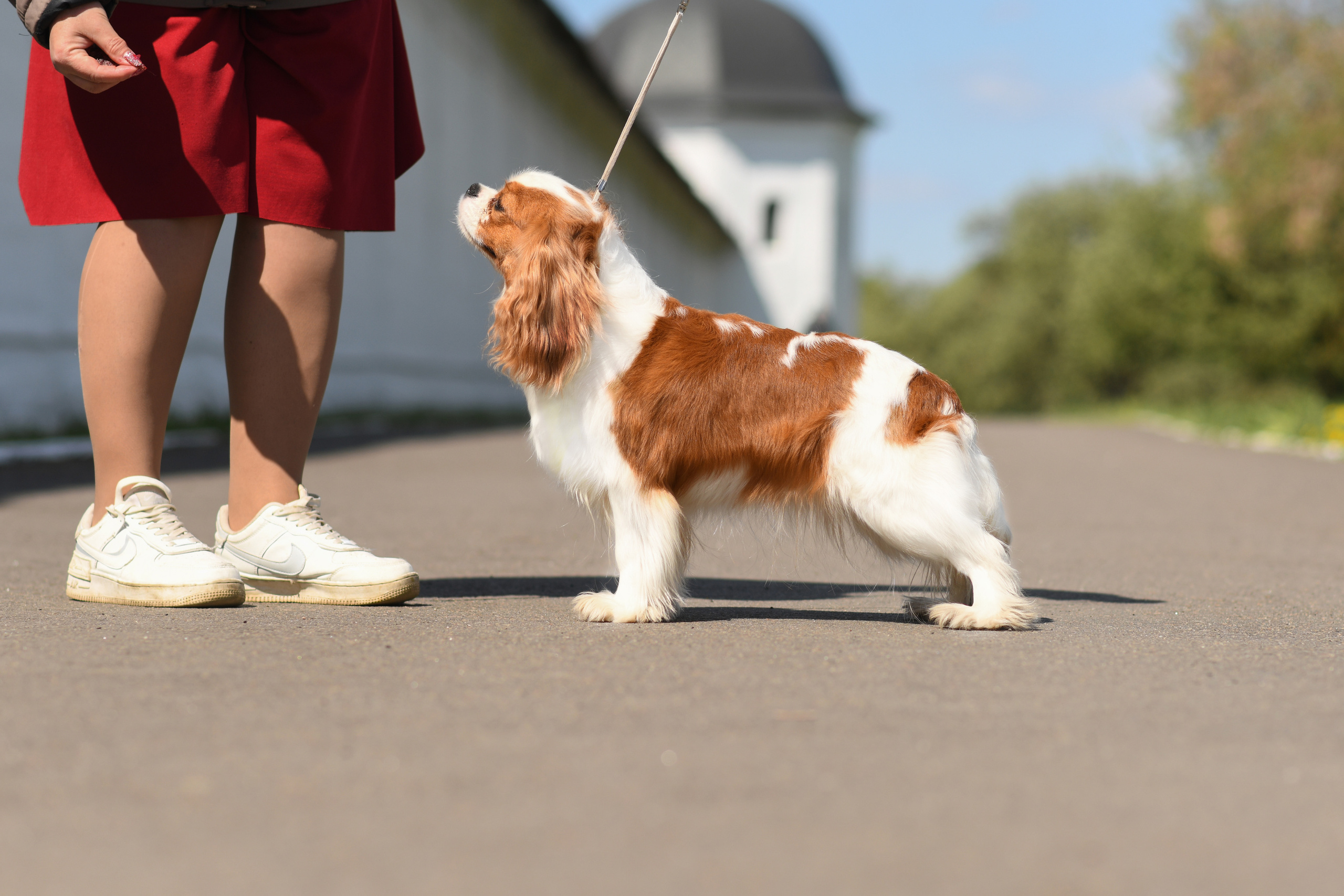 Экстерьерная съёмка