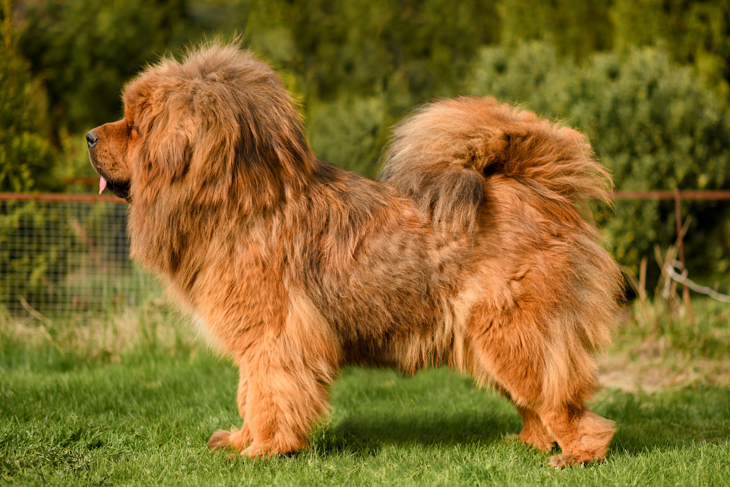 Экстерьерная съёмка