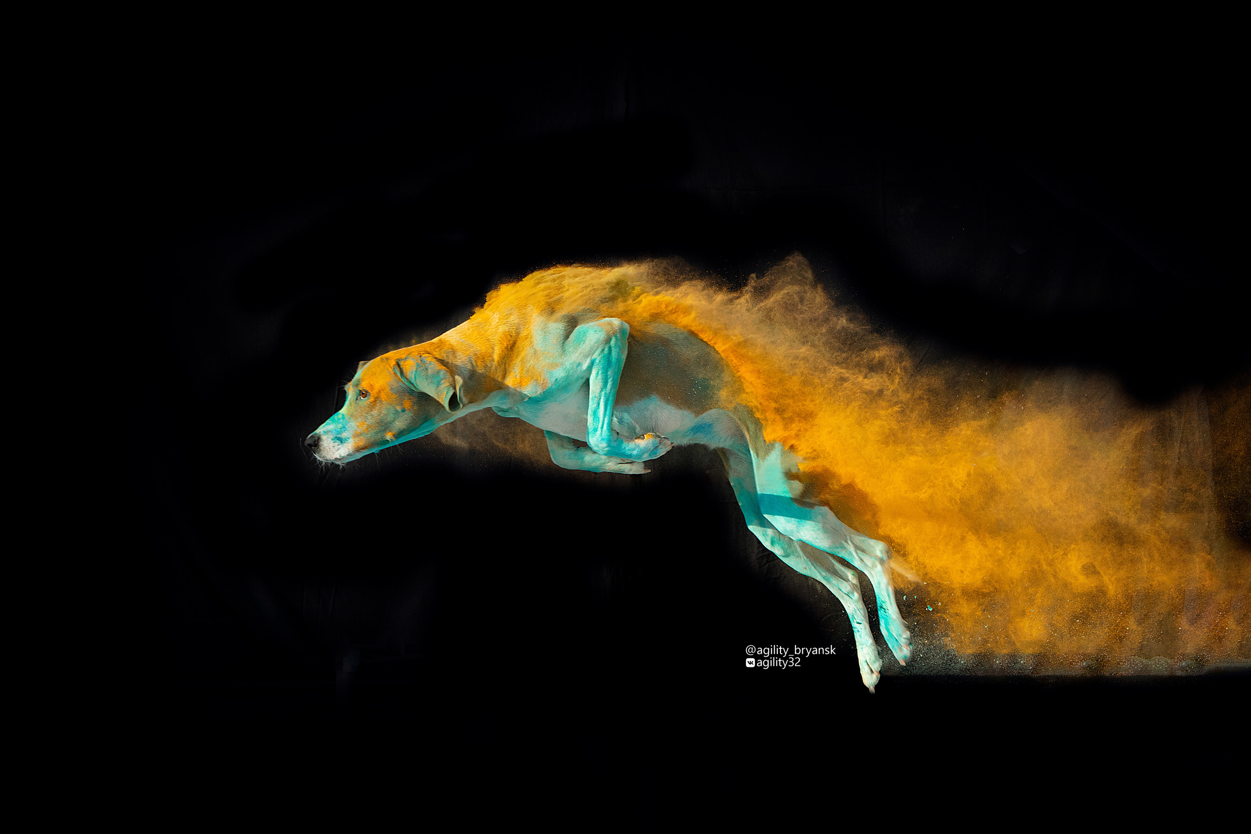 Краски Холи