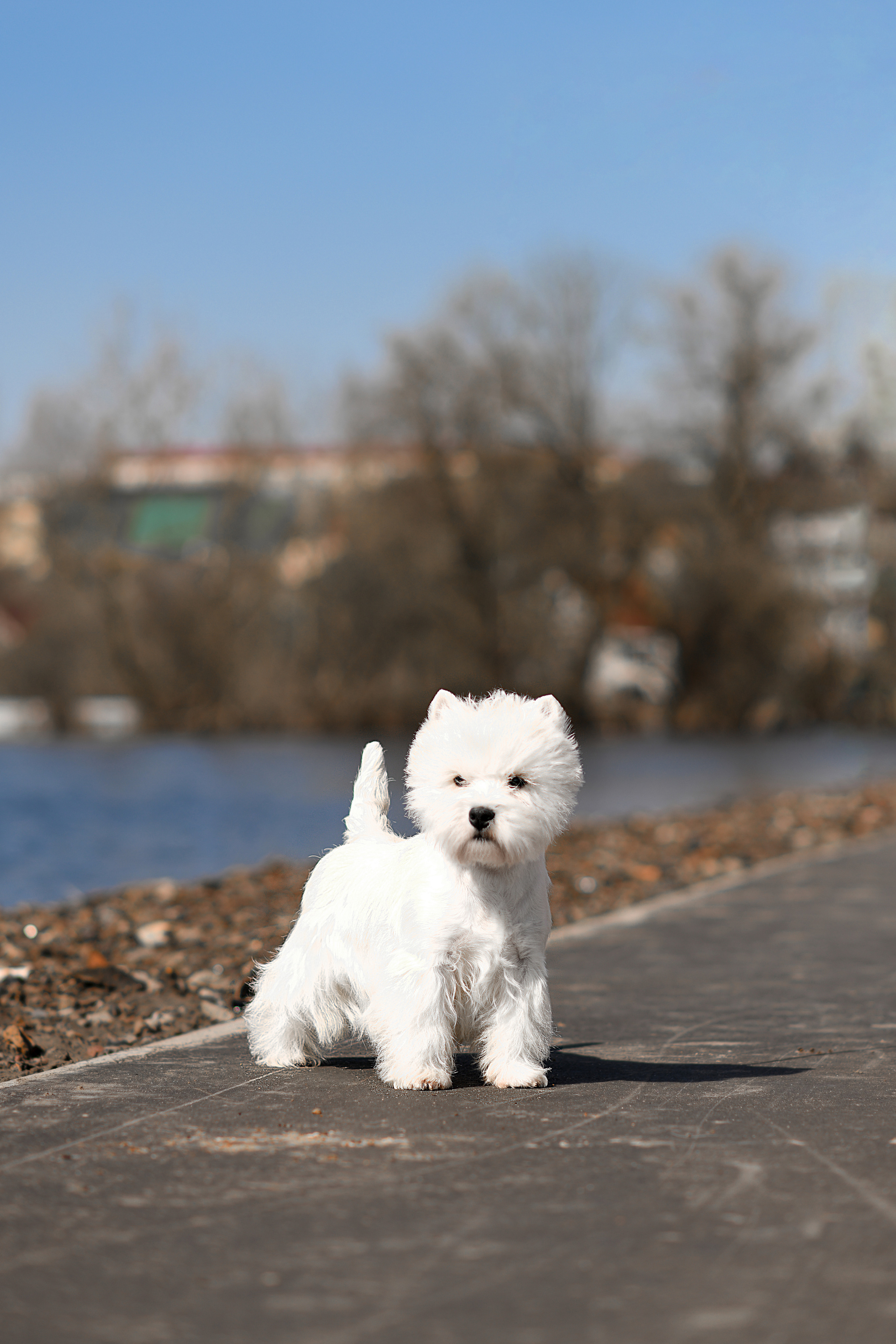 Экстерьерная съёмка