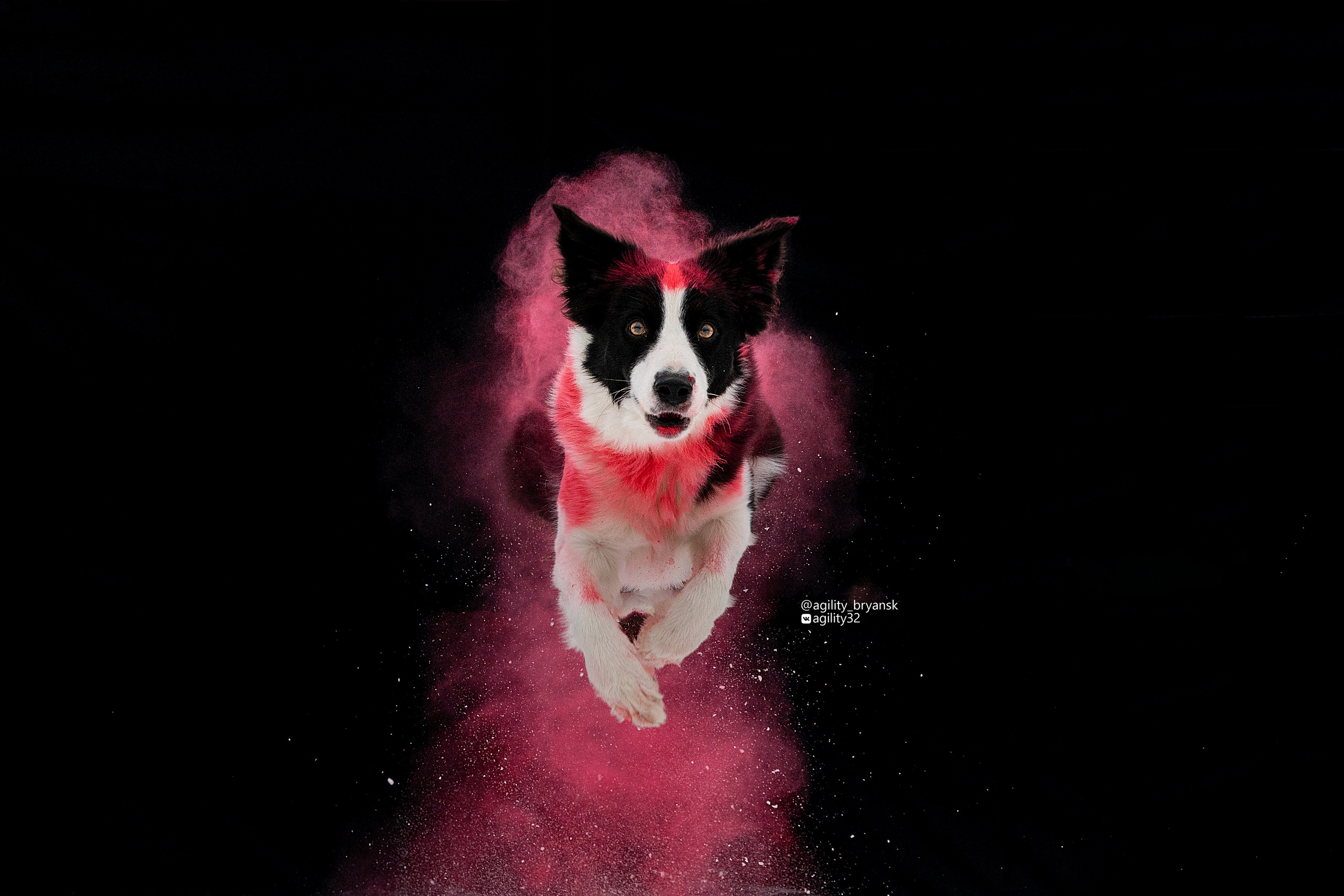 Краски Холи