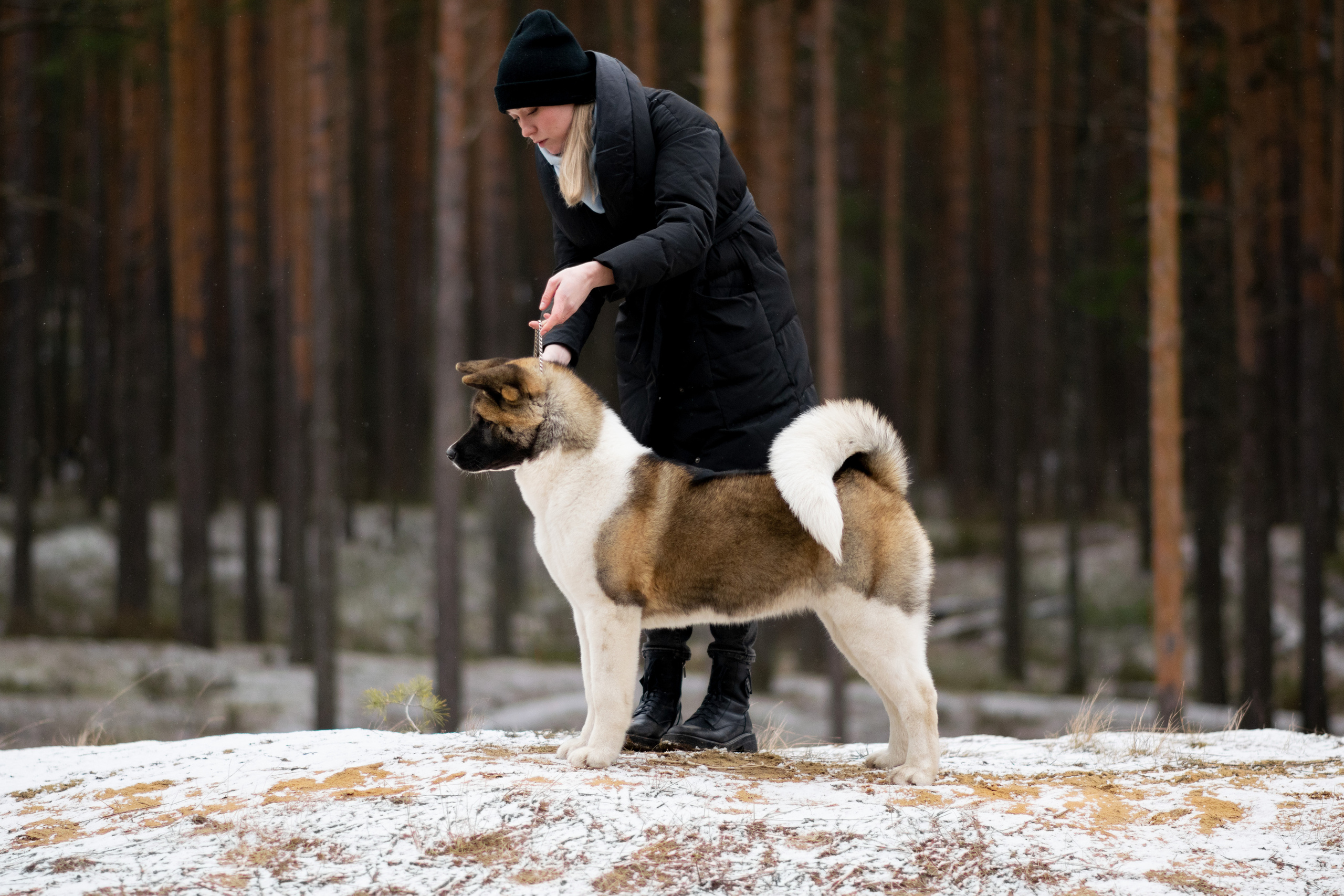 Экстерьерная съёмка