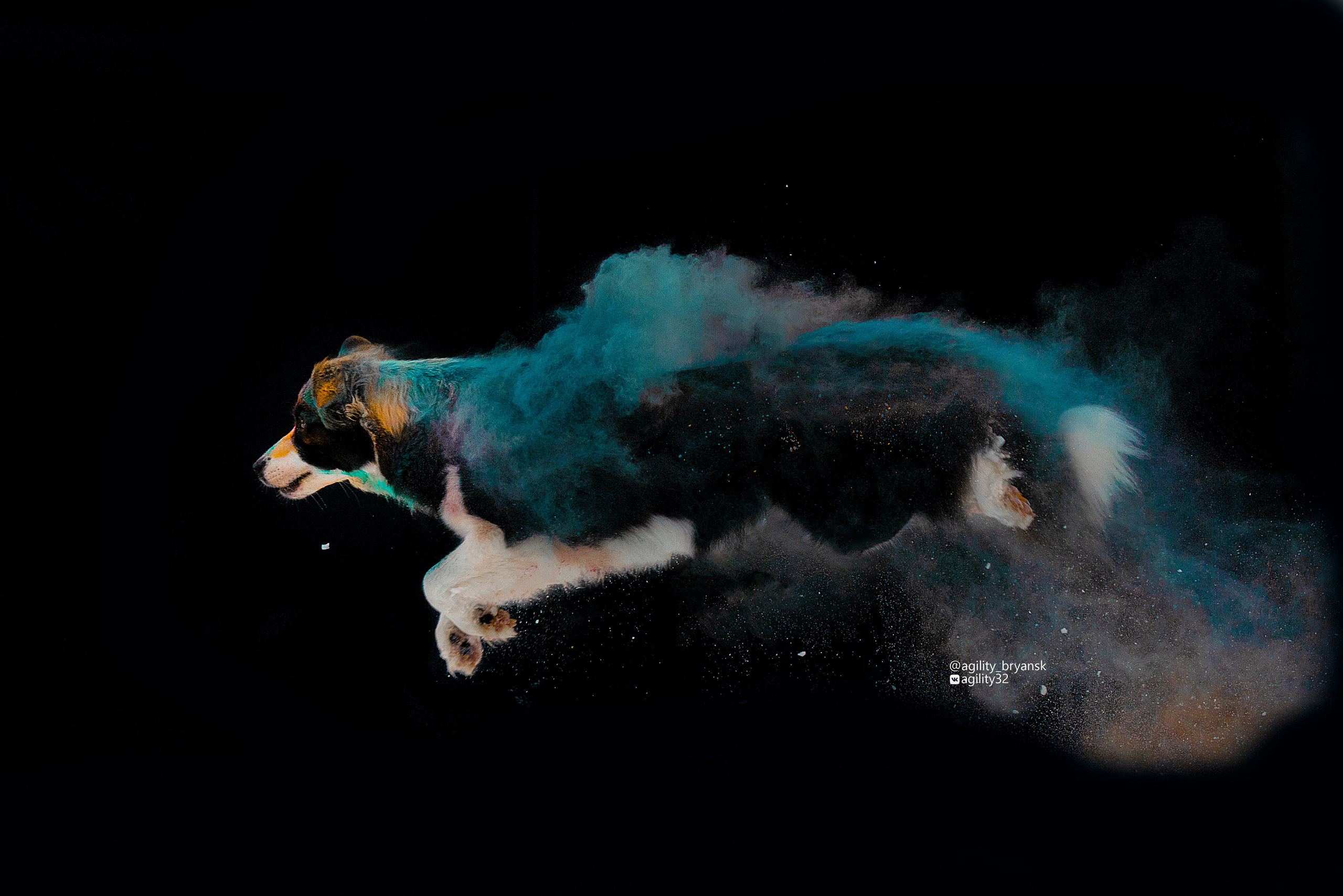 Краски Холи