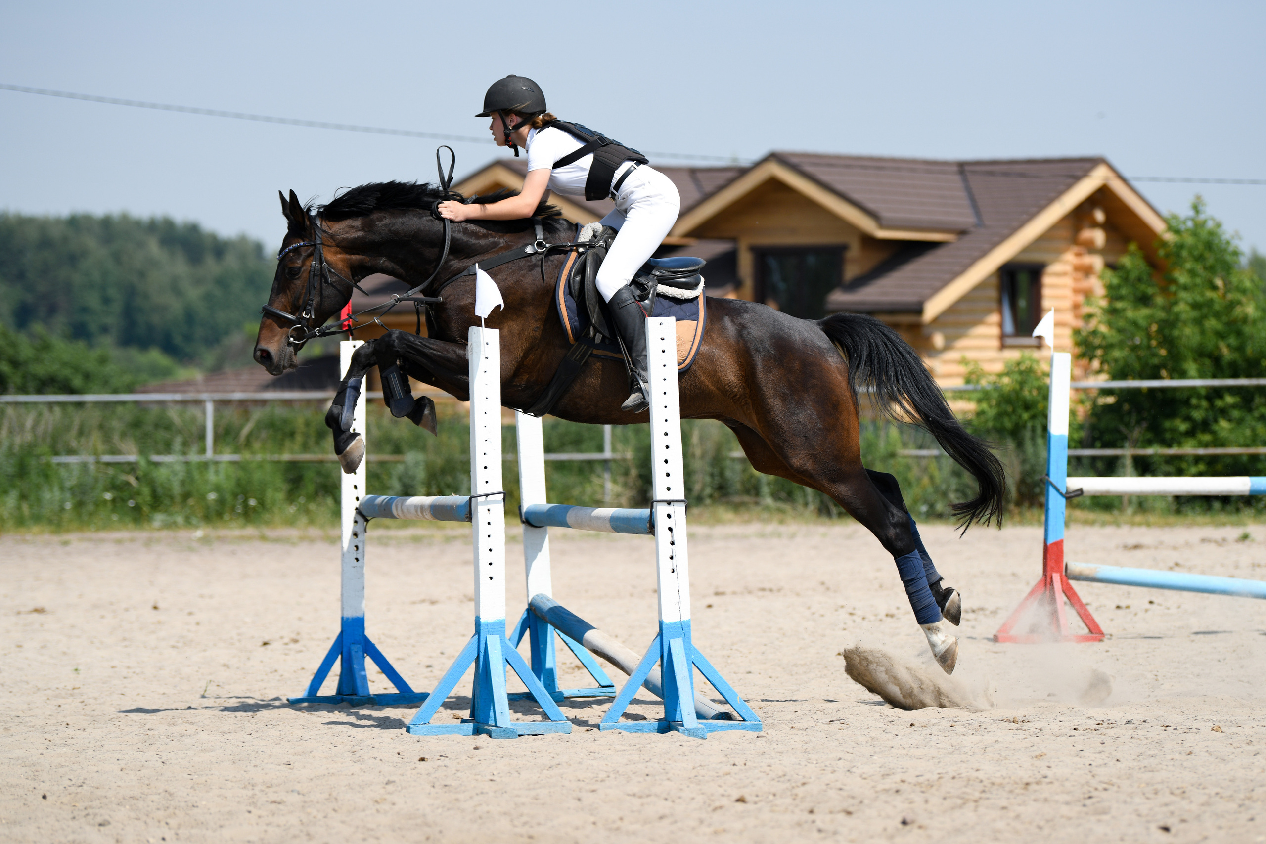 Фотограф-анималист Алёна Ковалёва