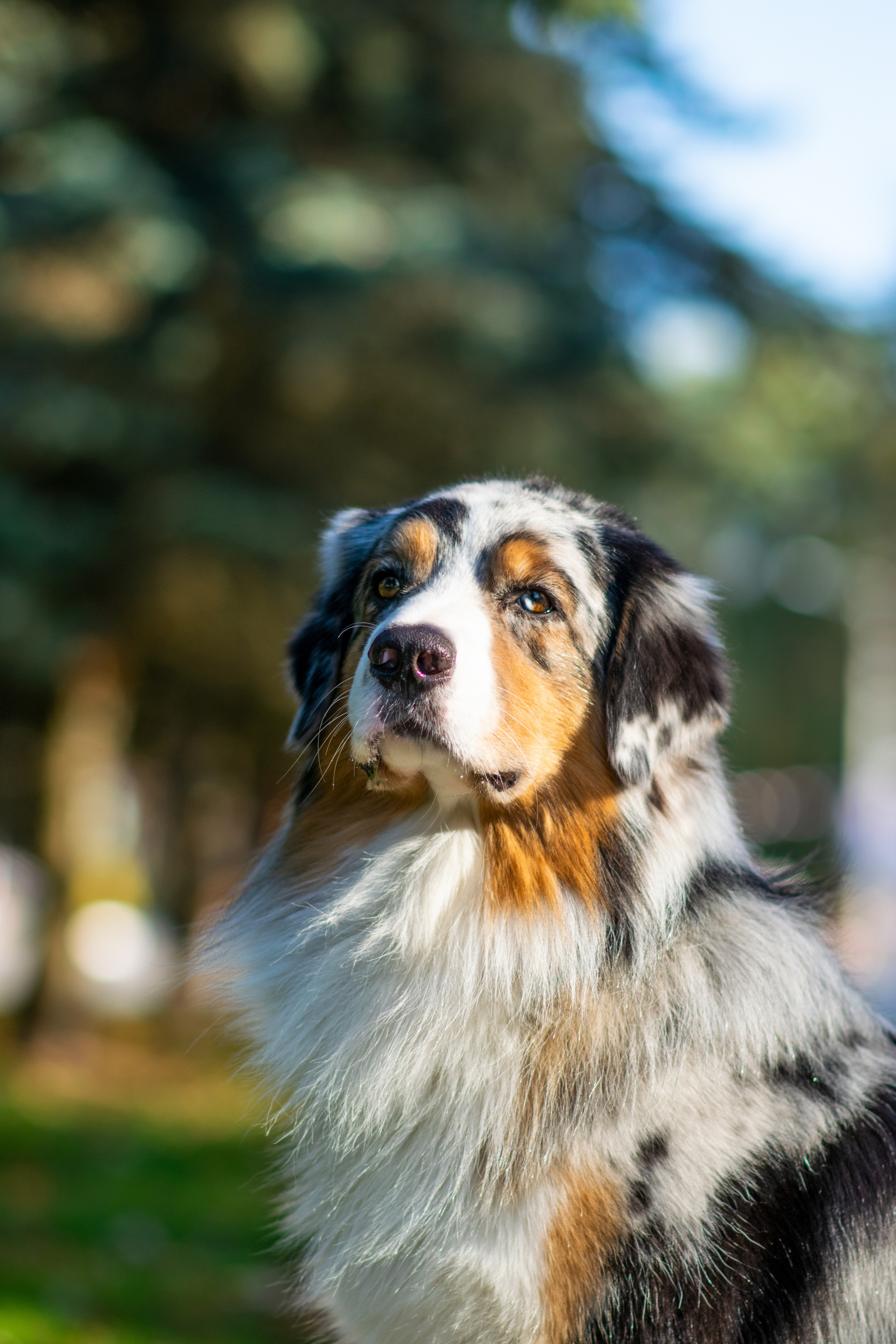 Художественная съёмка