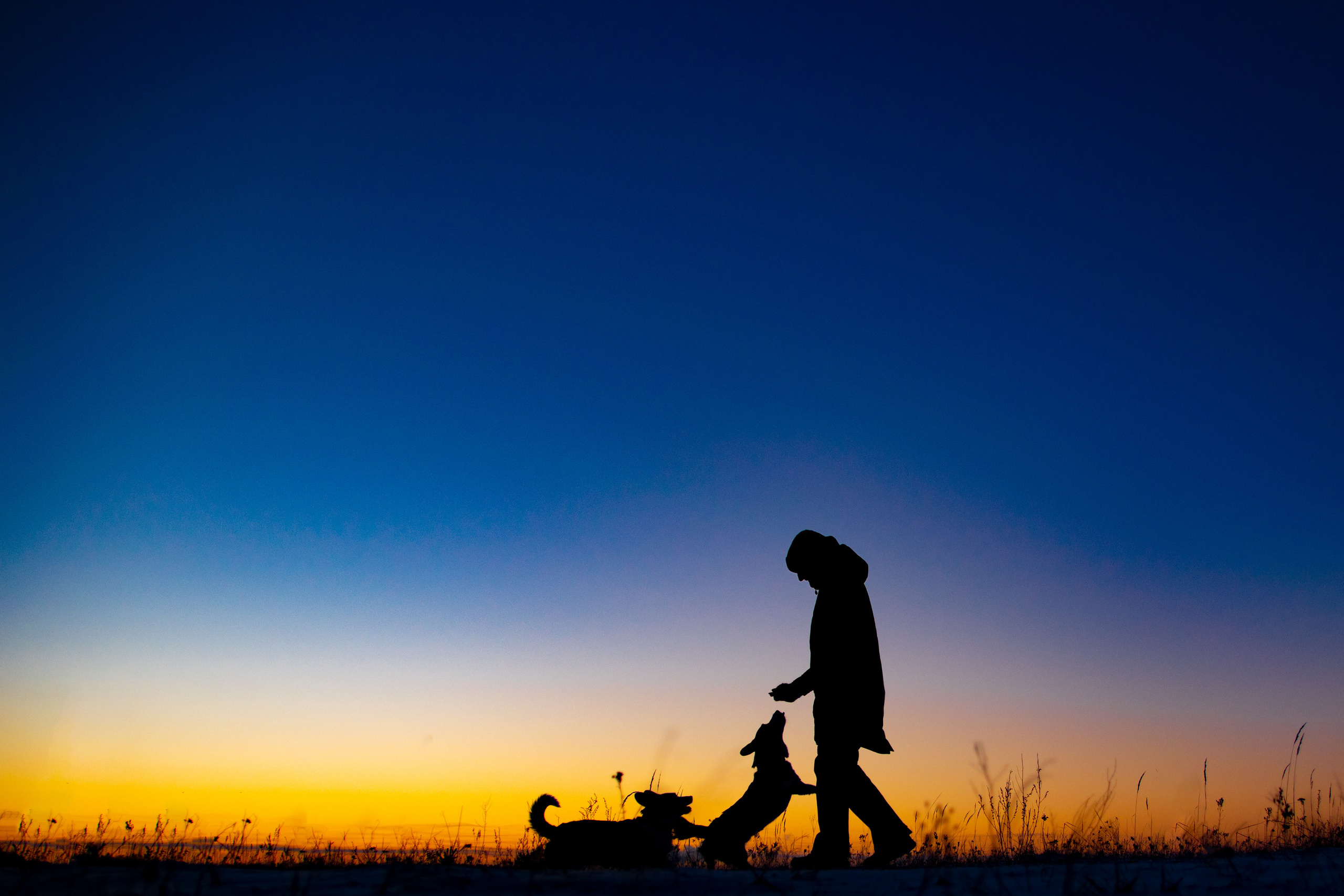 Художественная съёмка