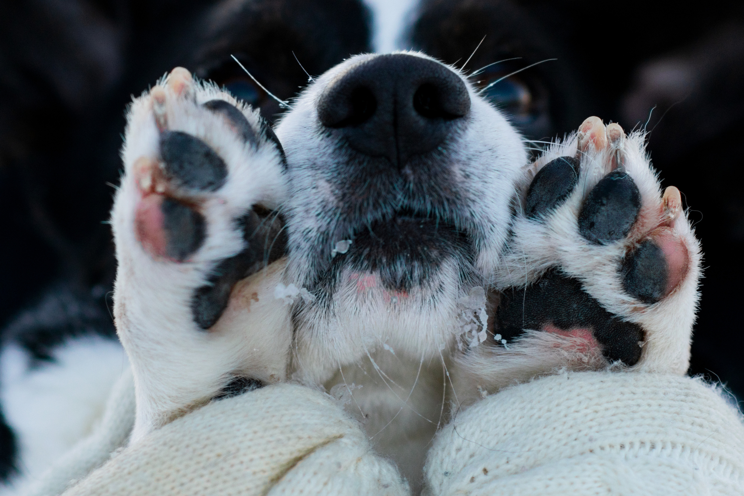 Художественная съёмка