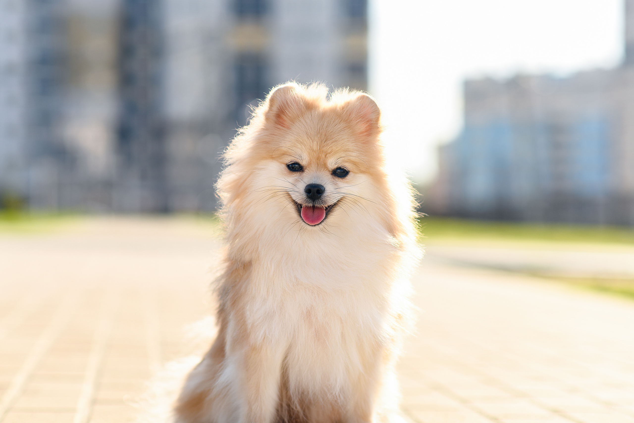 Экстерьерная съёмка