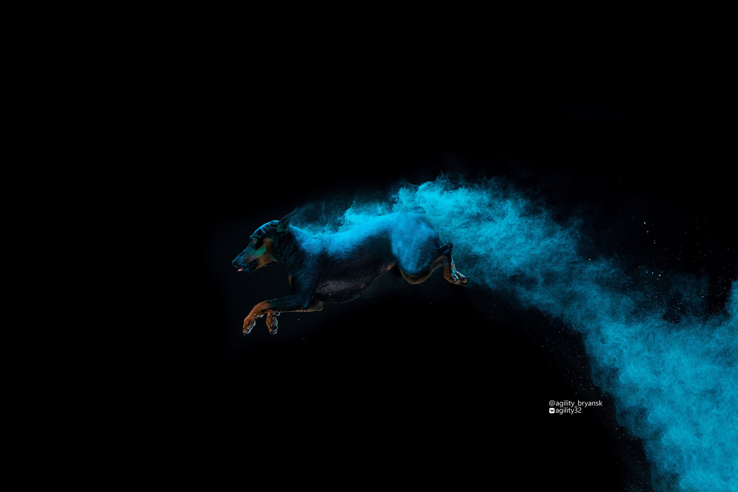 Краски Холи