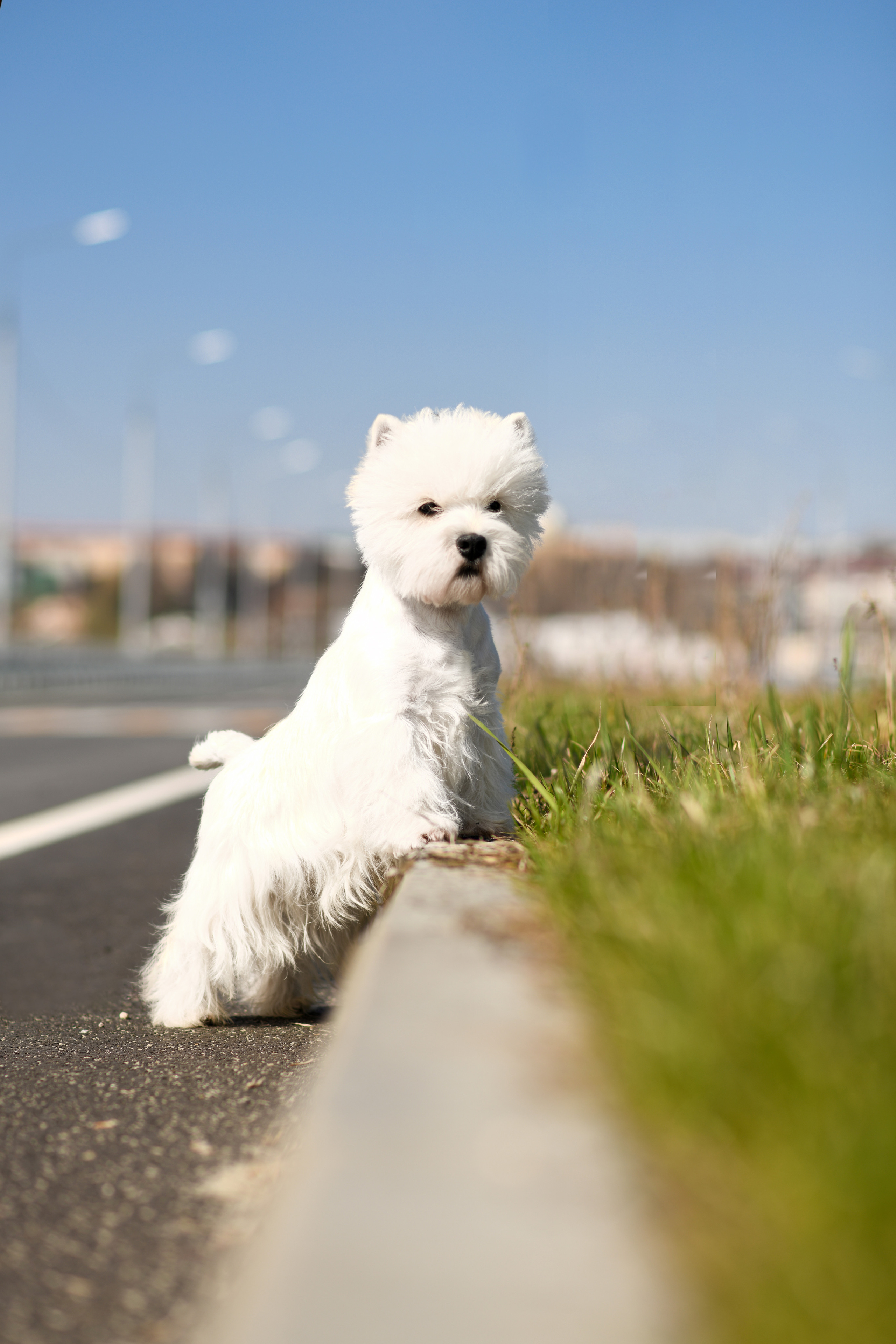 Экстерьерная съёмка