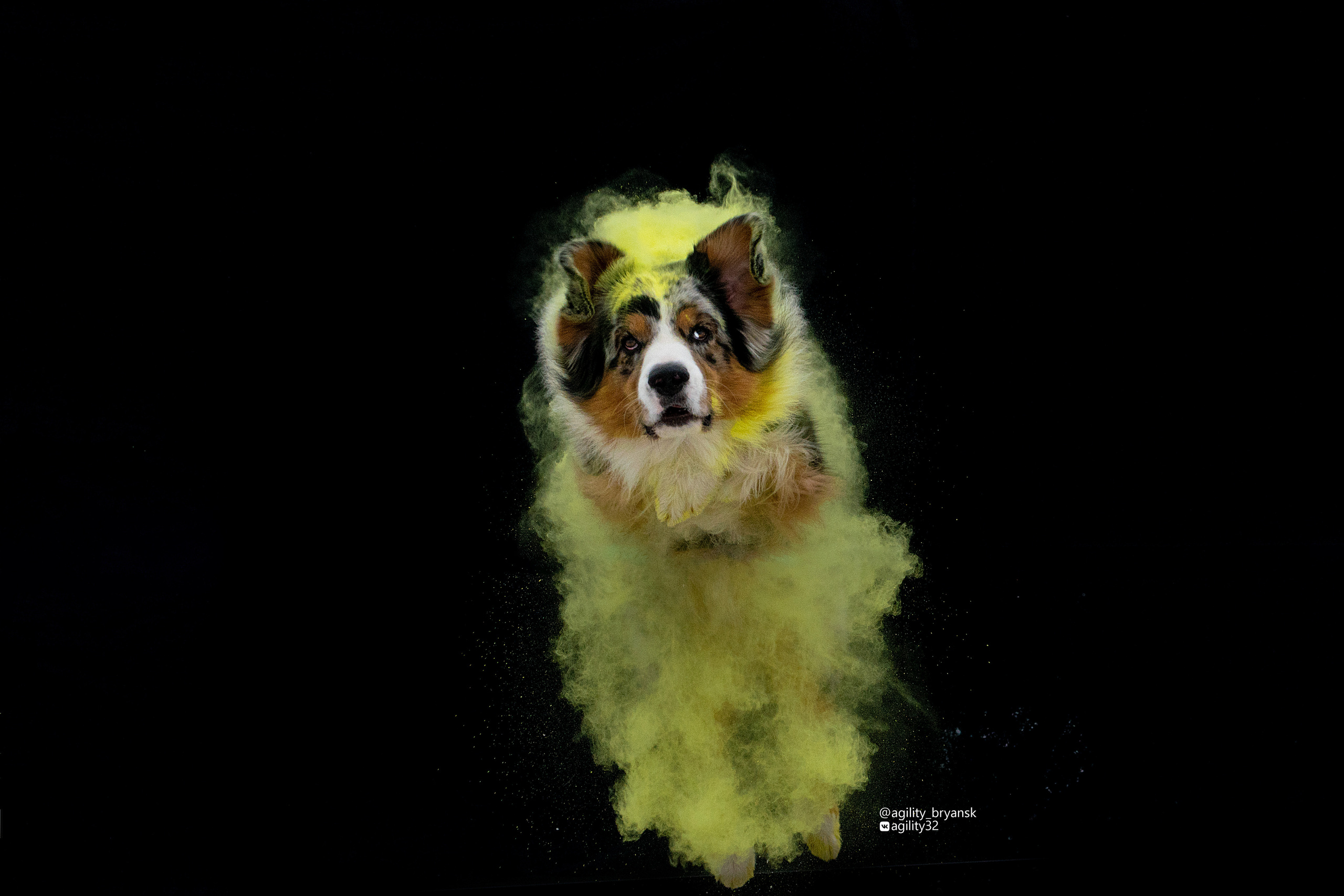 Краски Холи