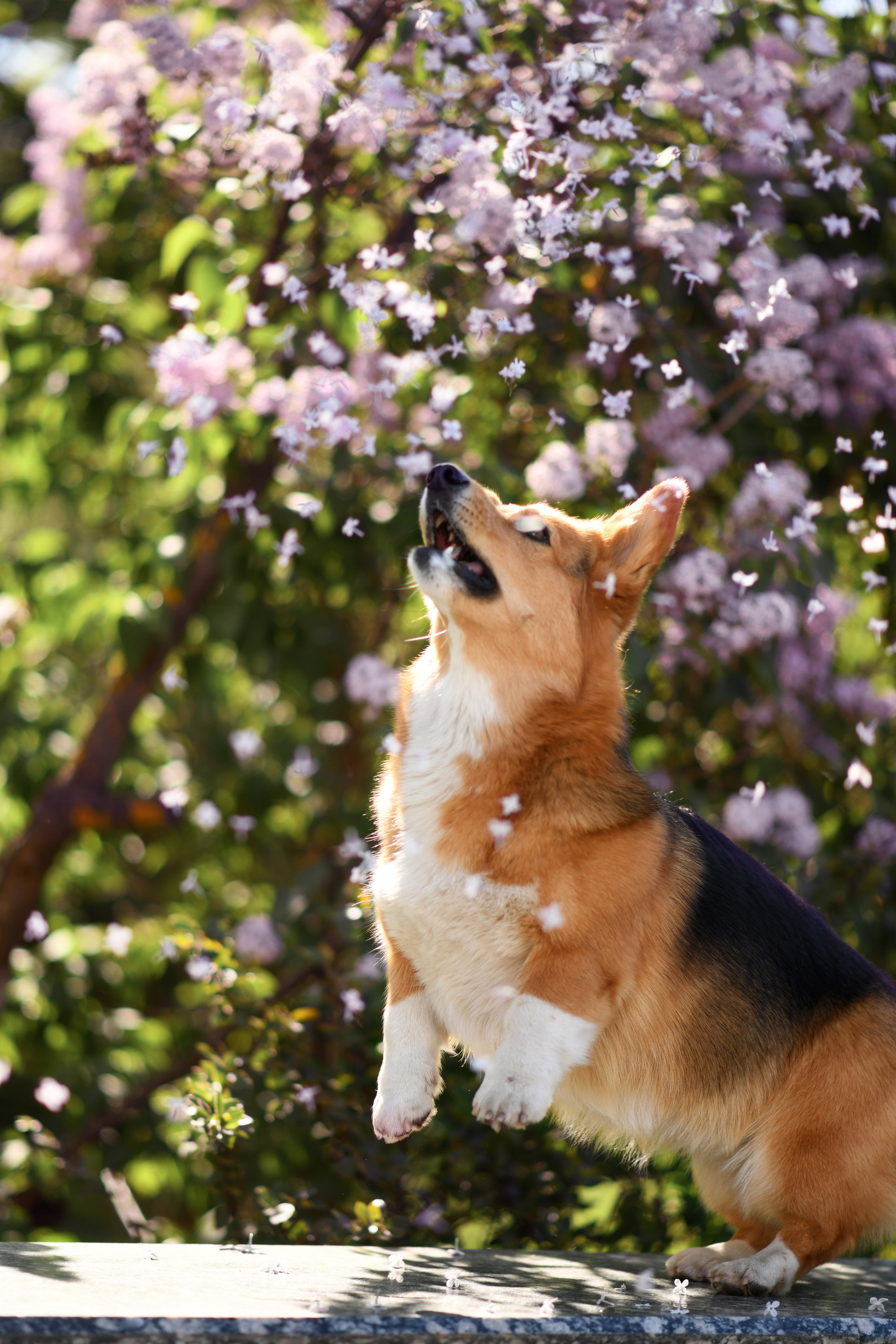 Художественная съёмка