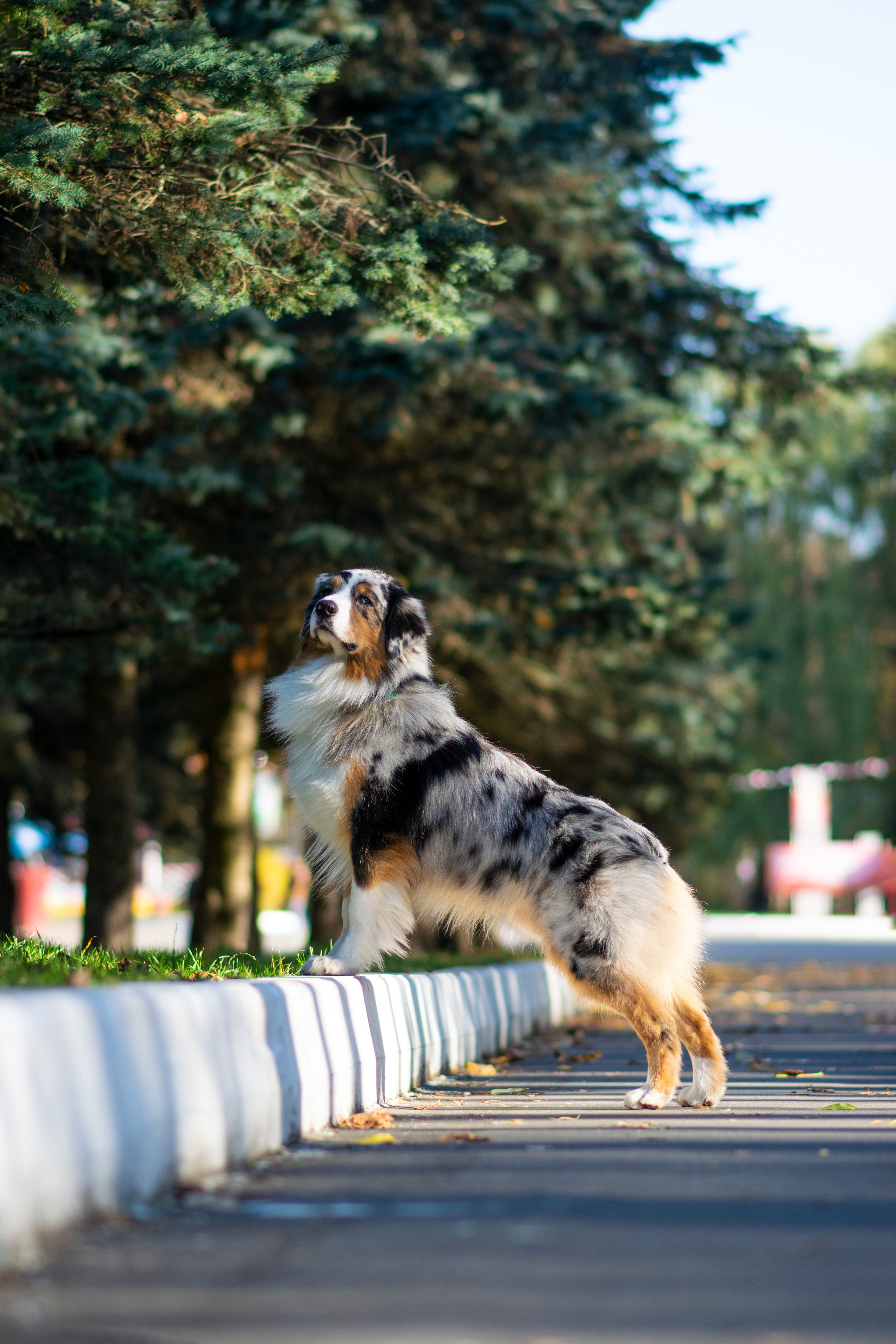 Художественная съёмка