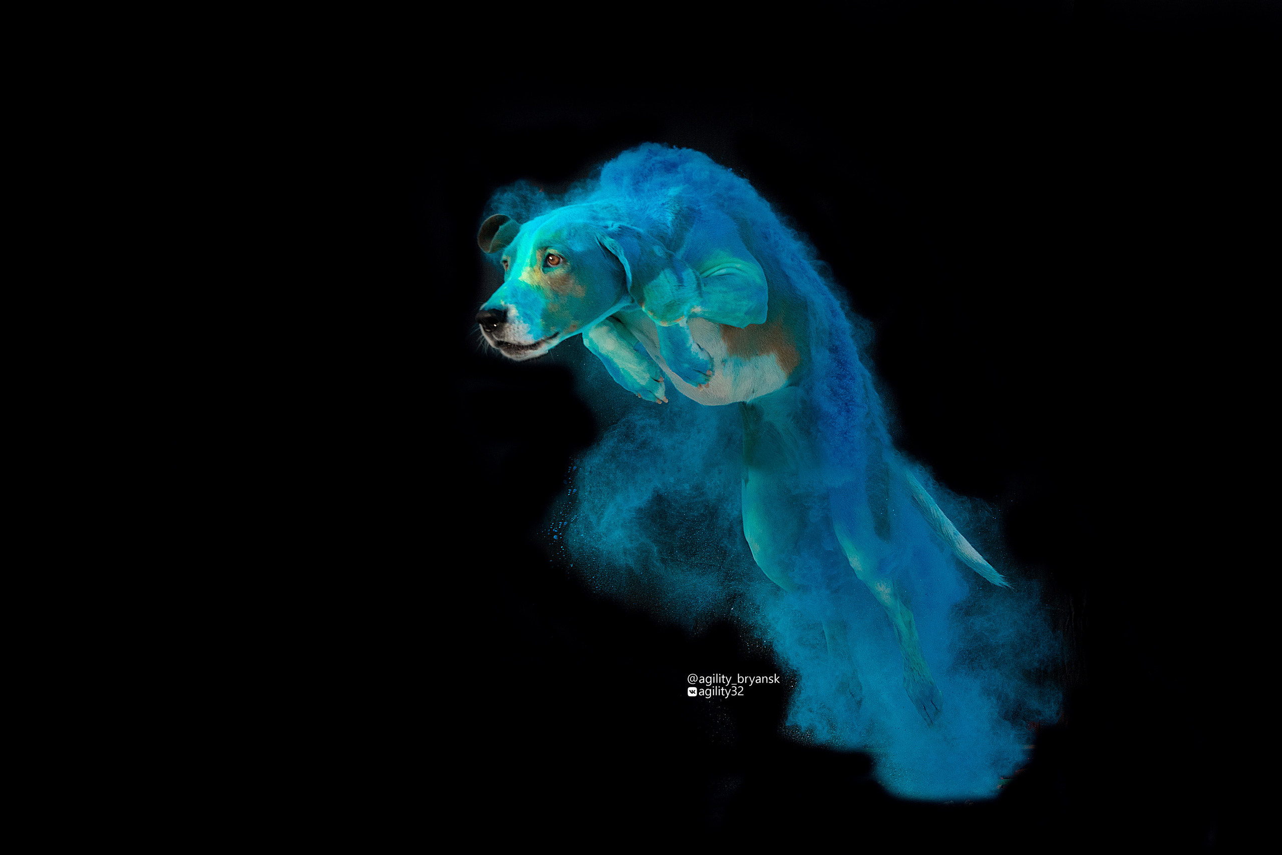 Краски Холи