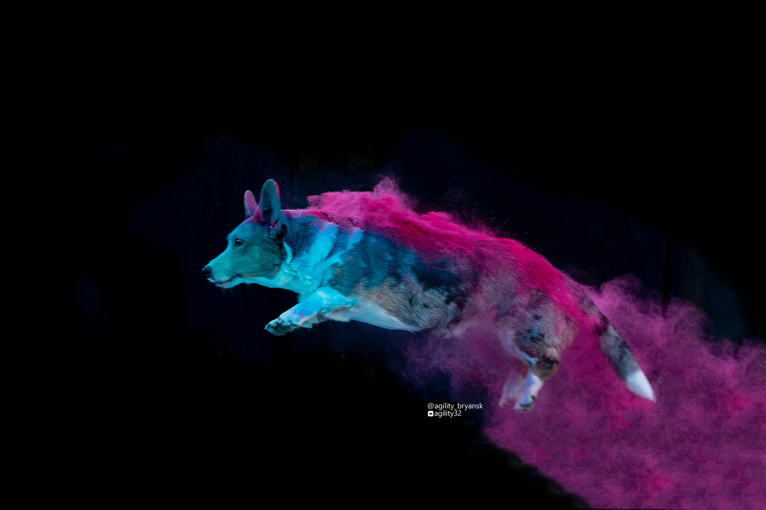 Краски Холи