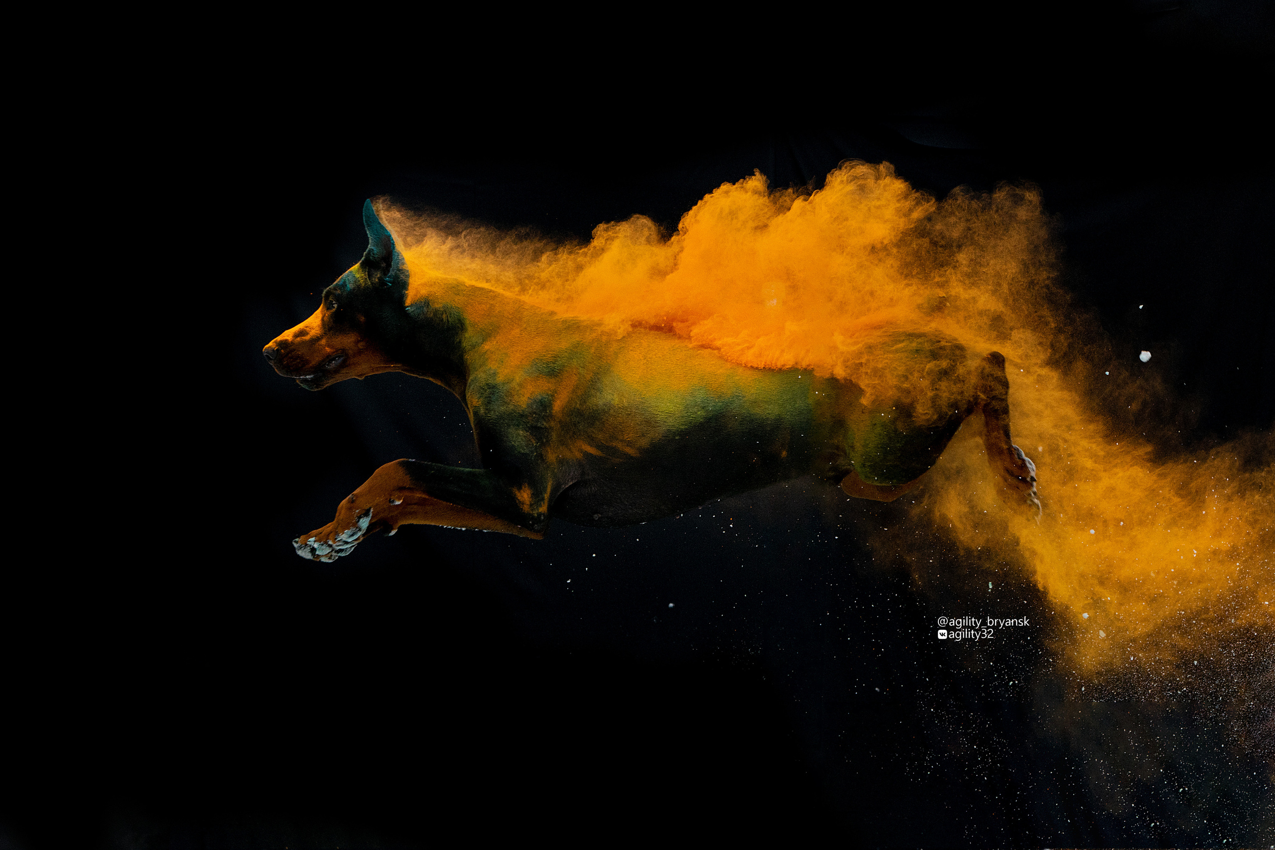 Краски Холи