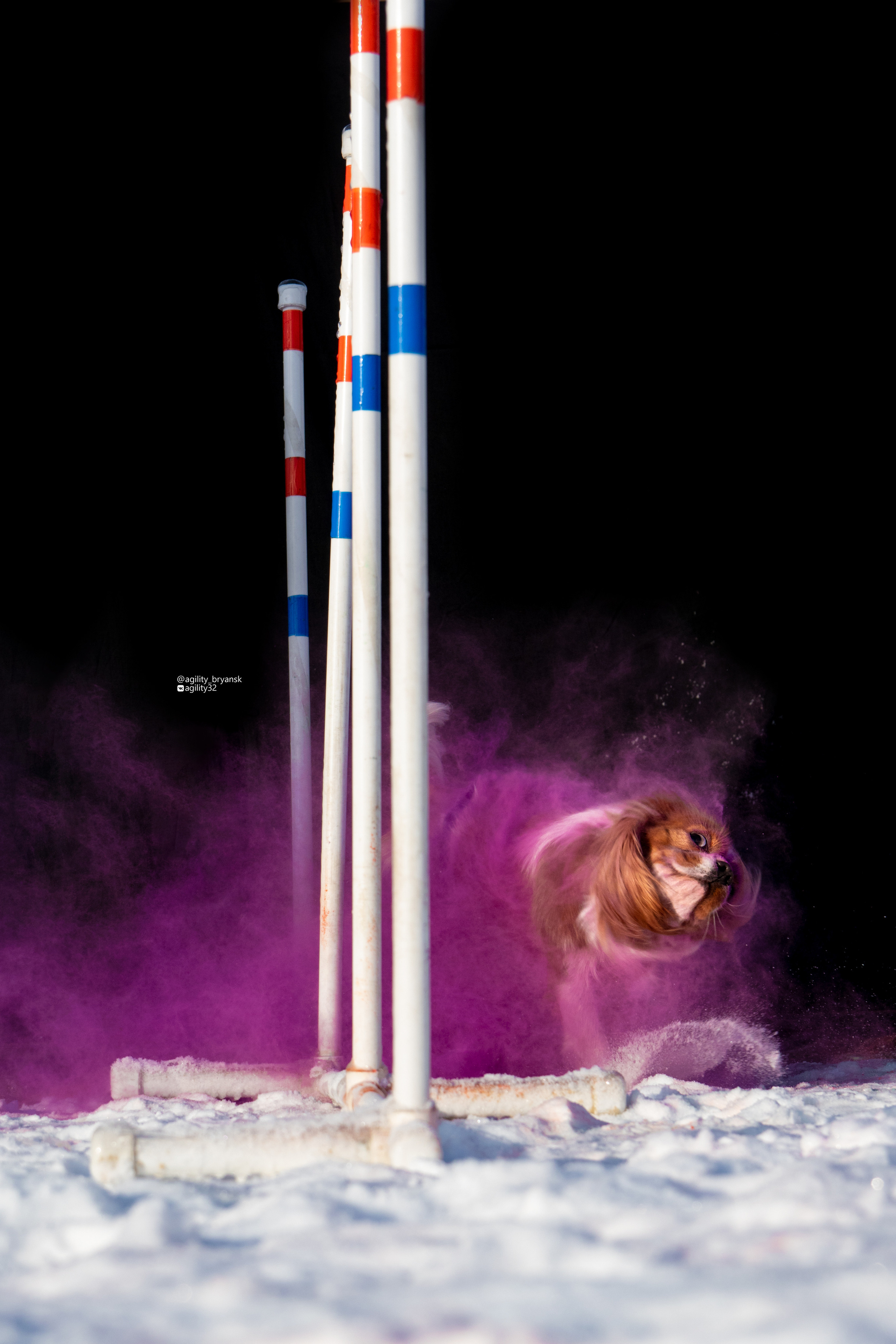 Краски Холи