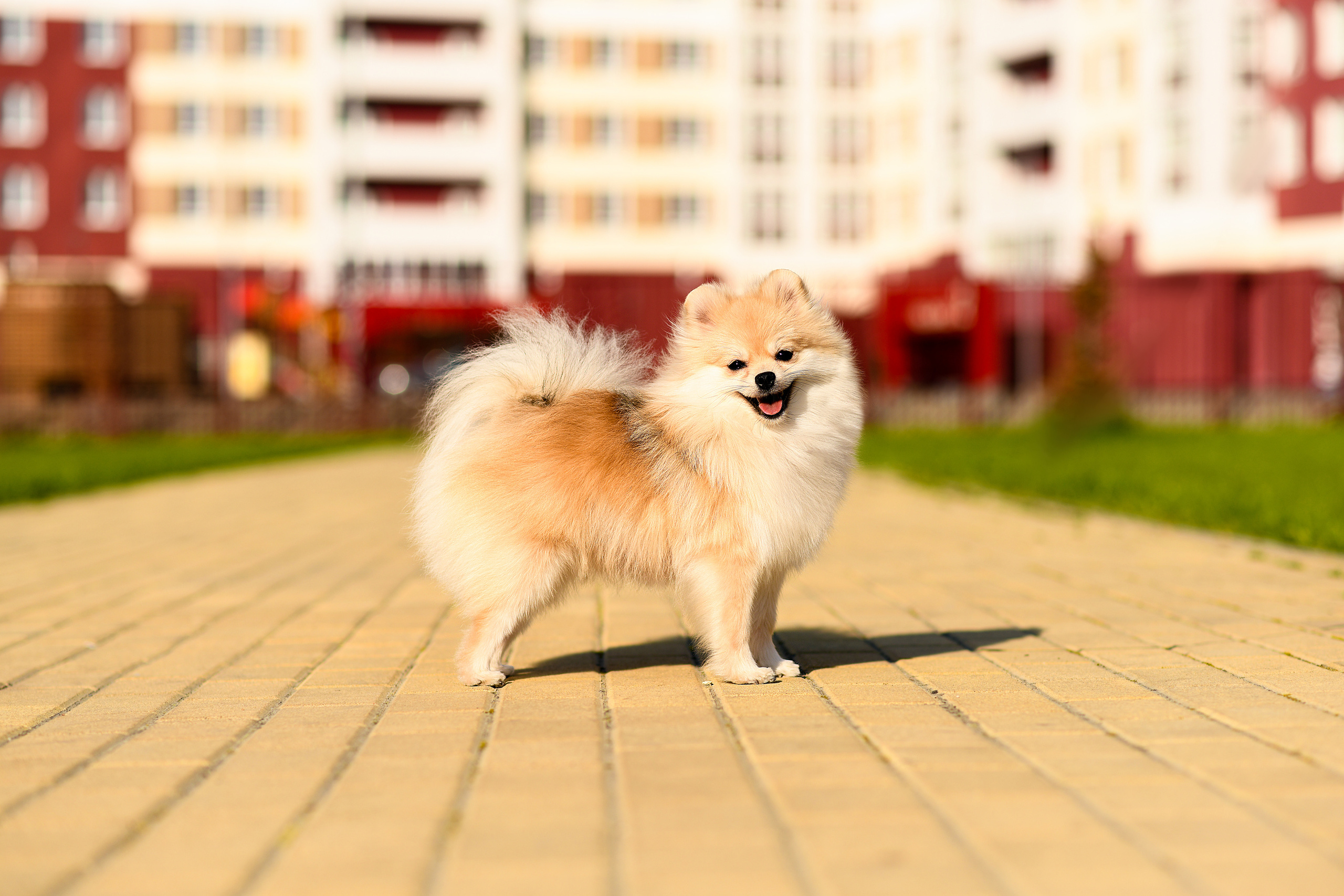 Экстерьерная съёмка