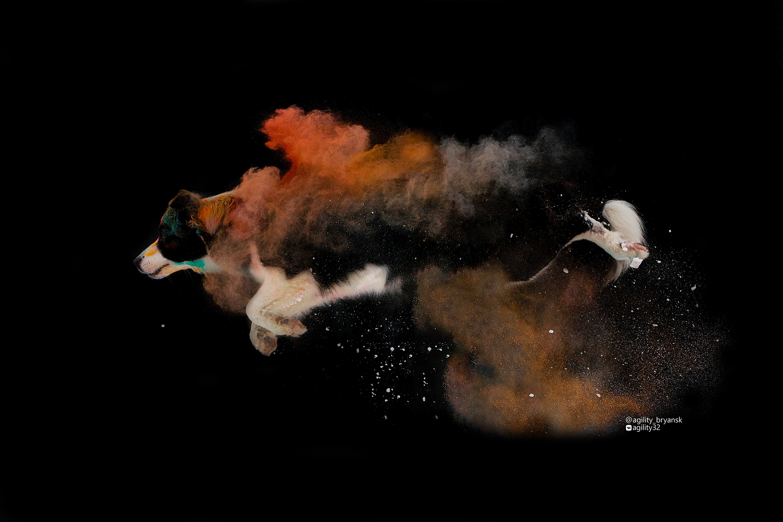 Краски Холи