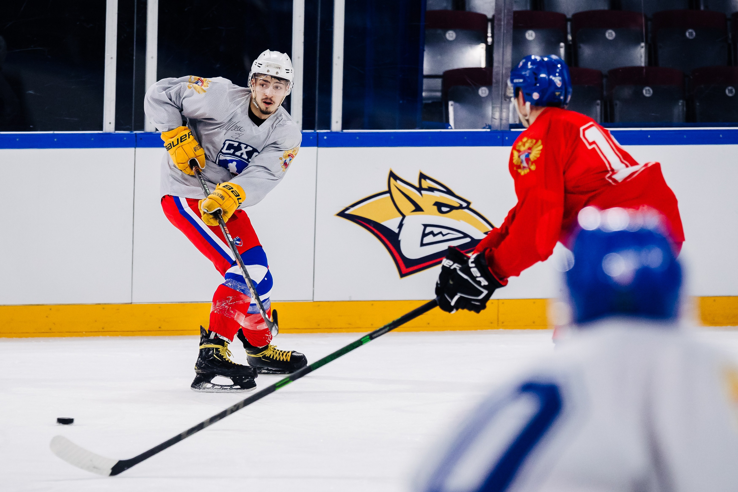 Тренировка сборной СХЛ // 14.02.25. Денис Прохоров Фотограф в г. Магнитогорск