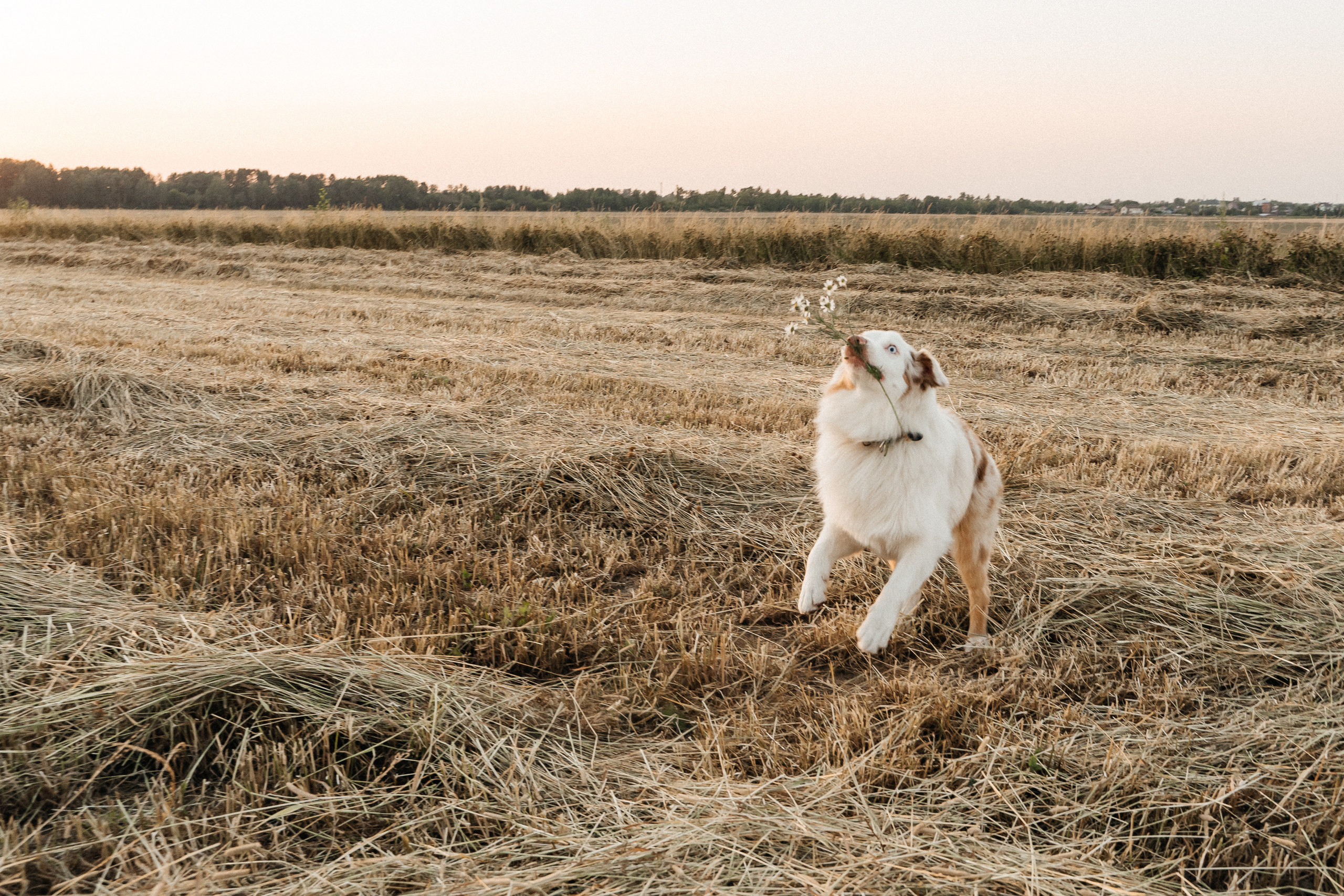 Мы вместе. Семейный фотограф в Санкт-Петербурге Виталия Белова
