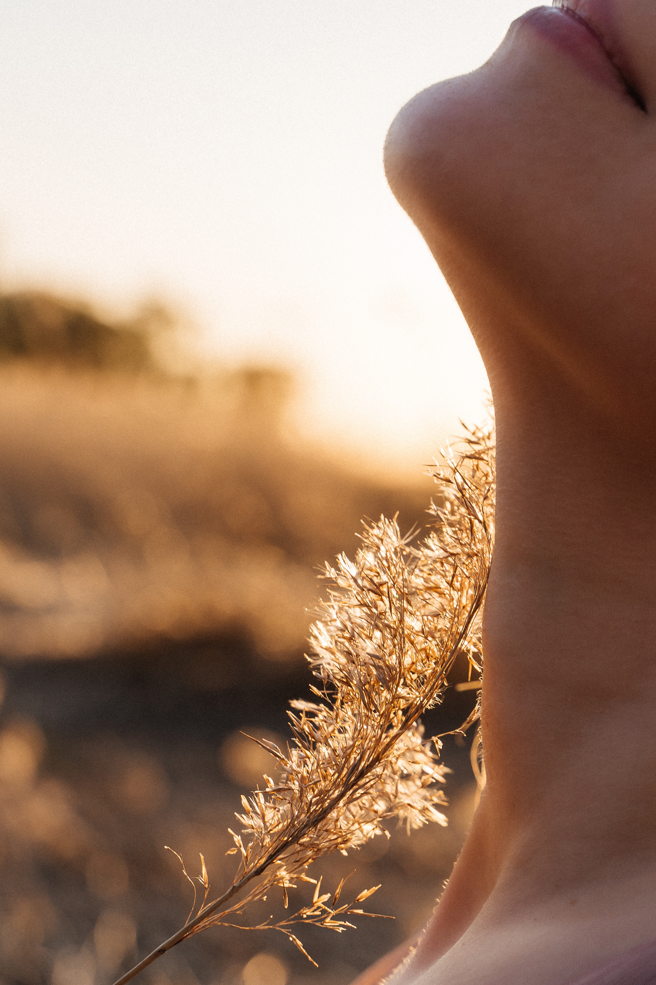 Марина. Закат. Семейный фотограф в Санкт-Петербурге Виталия Белова