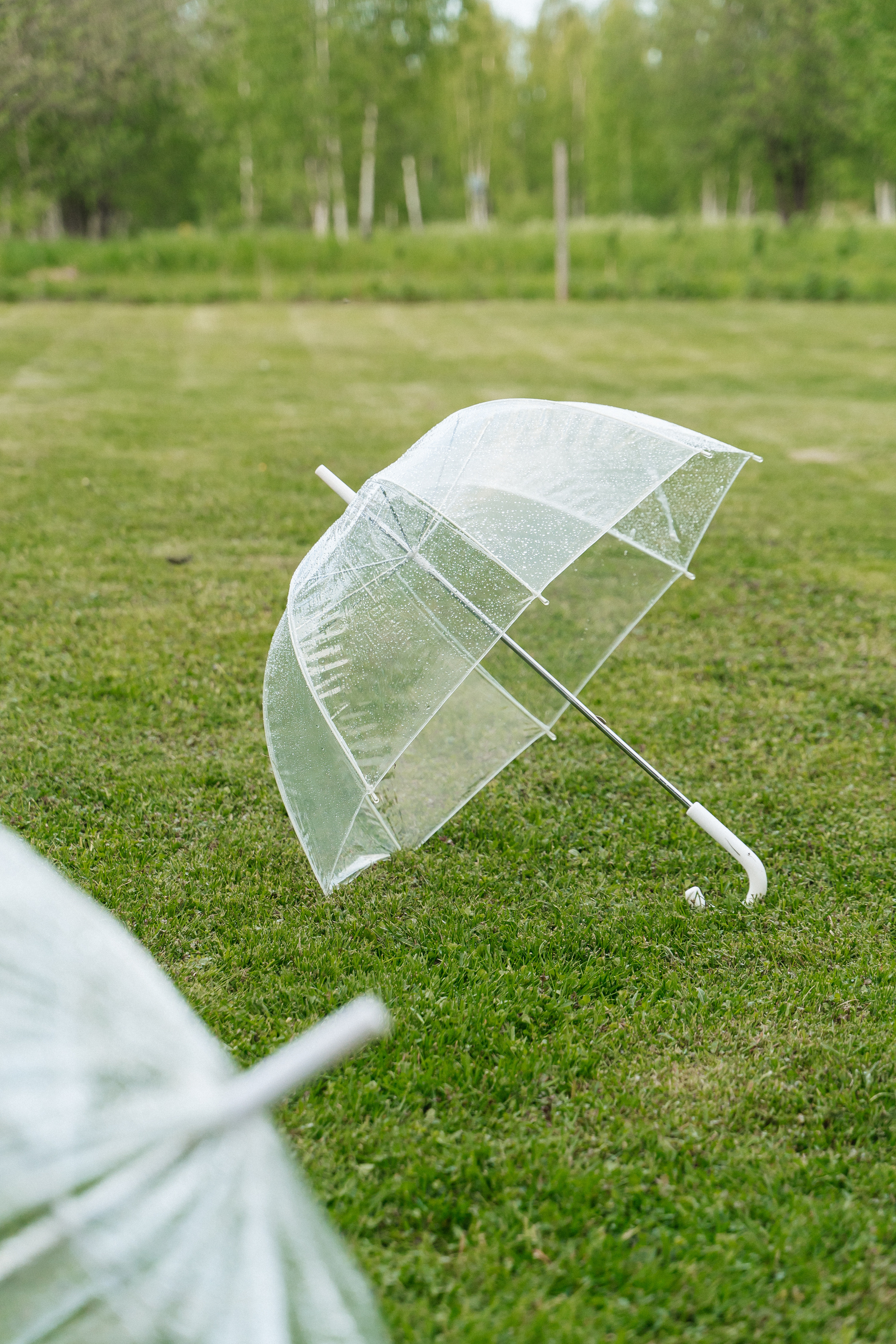 03.06.2022 Алексей и Мария. Семейный фотограф в Санкт-Петербурге Виталия Белова
