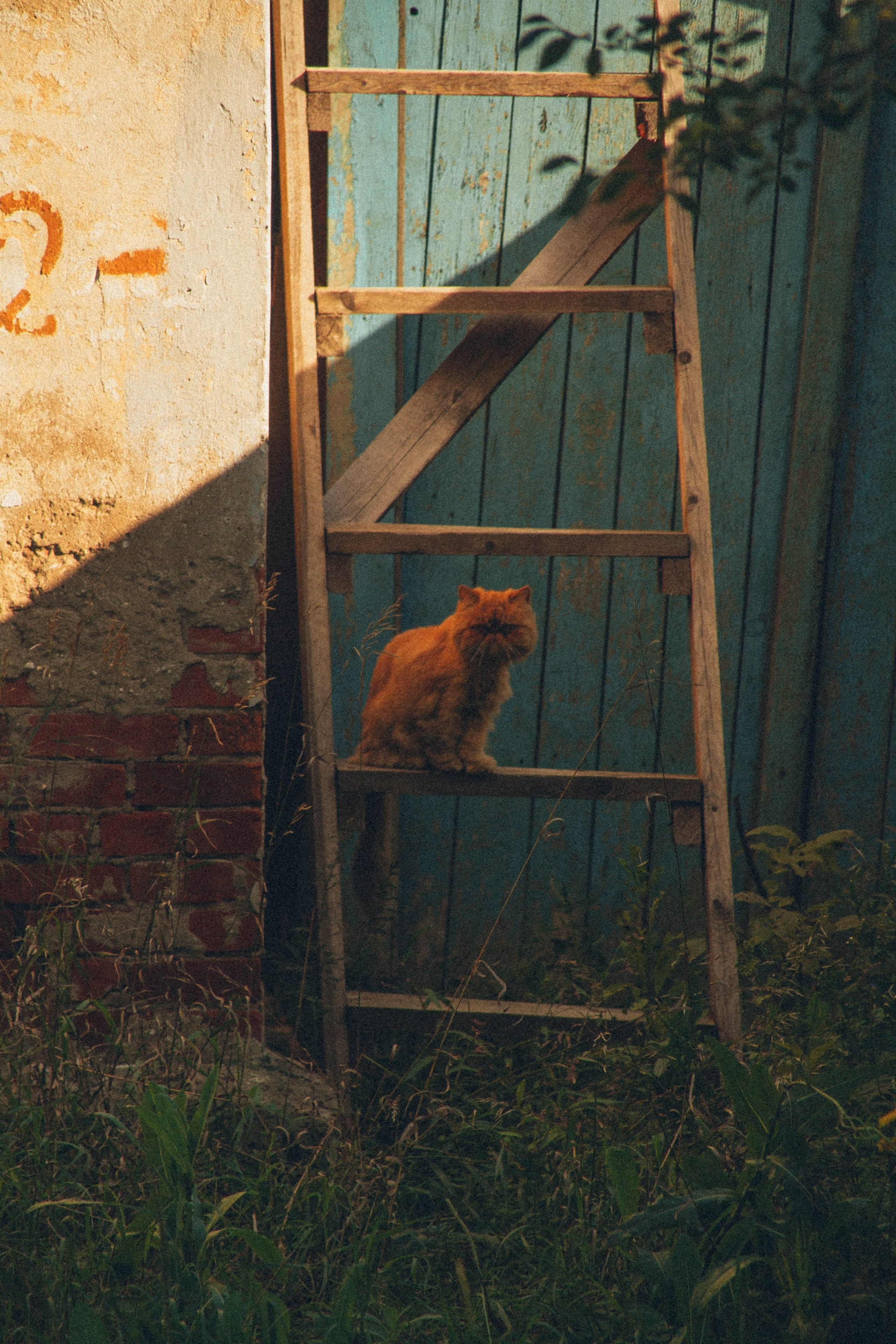 Природа. Darinishna Фэнтези-фотограф Хабаровск