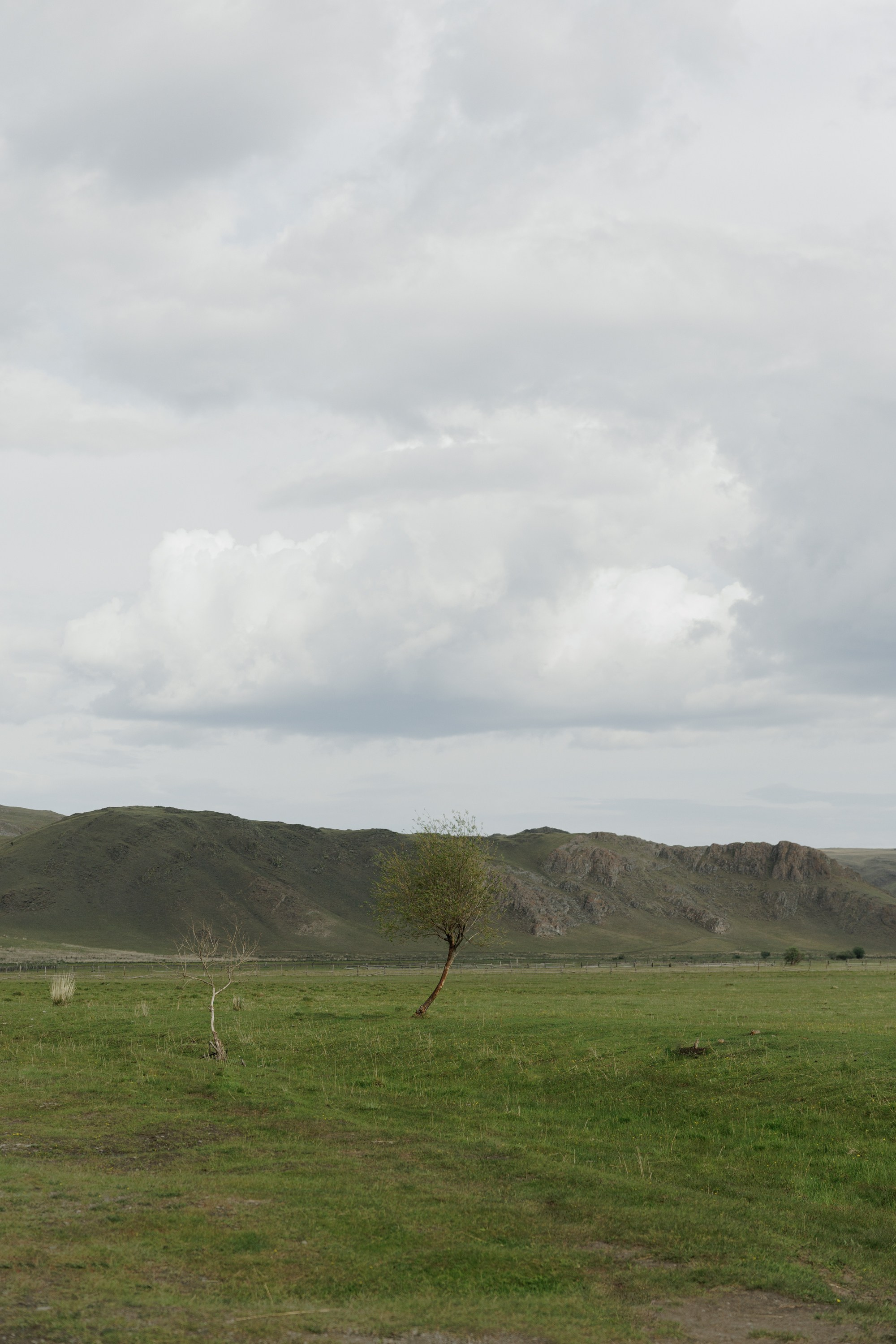 Ты, я и море. Свадебный фотограф