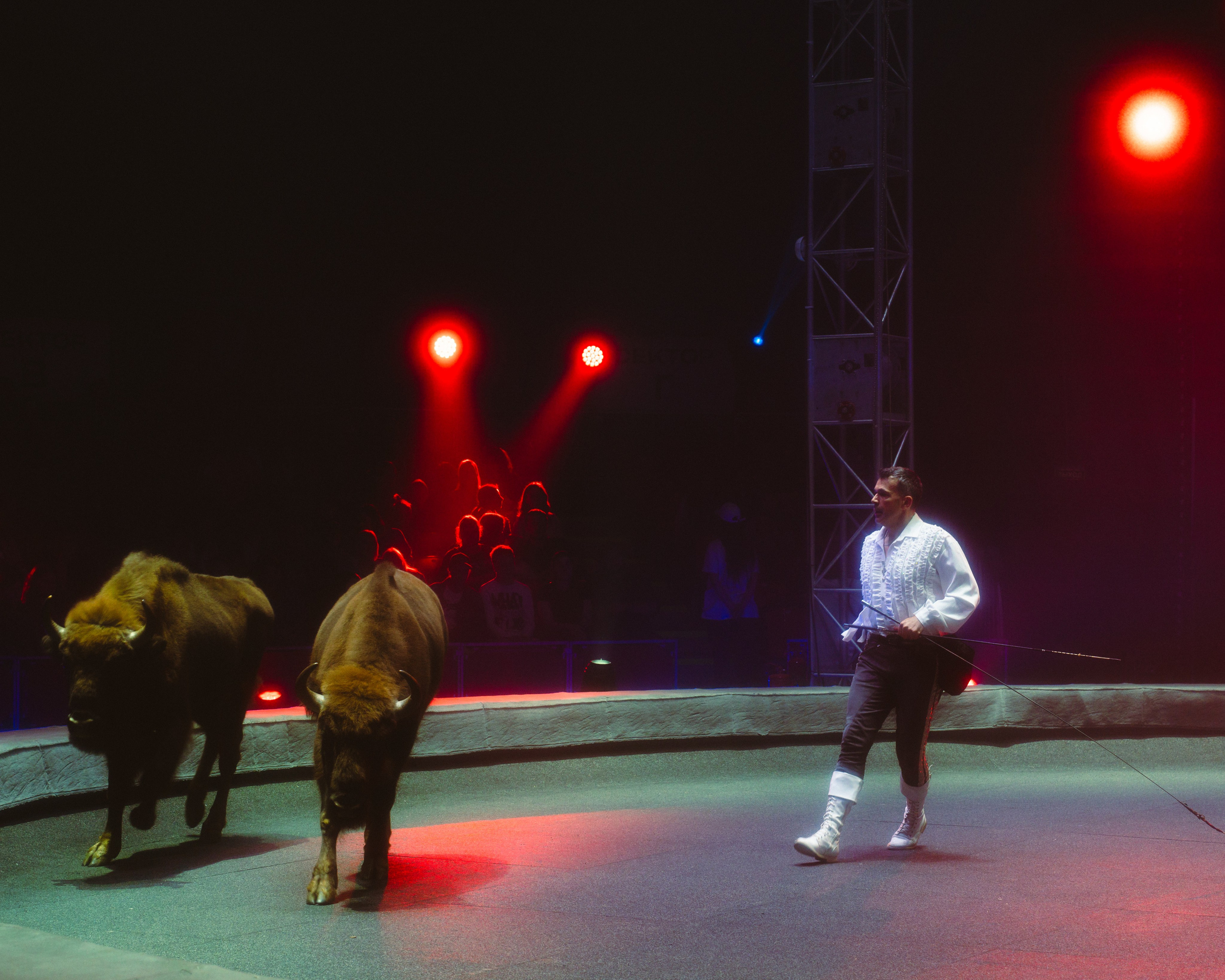 Circus. Фотограф в Москве Шалышко Ангелина