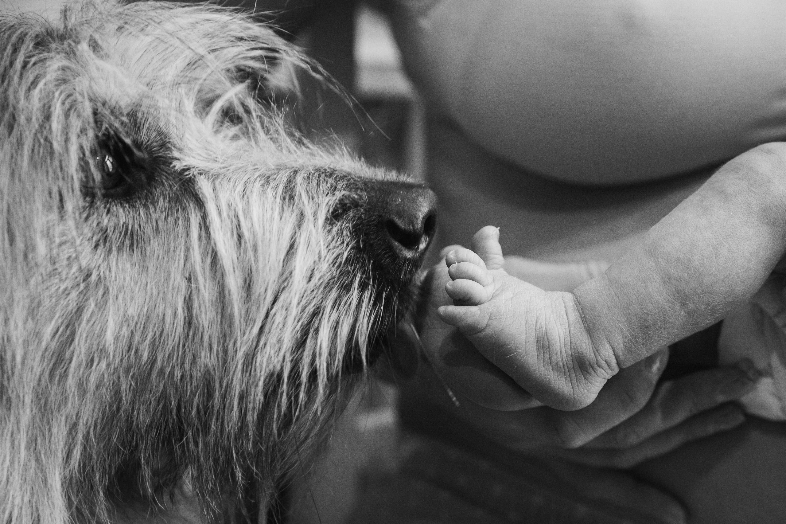 Аврора и Алиса. Семейный и школьный фотограф в Москве Анна Ткач