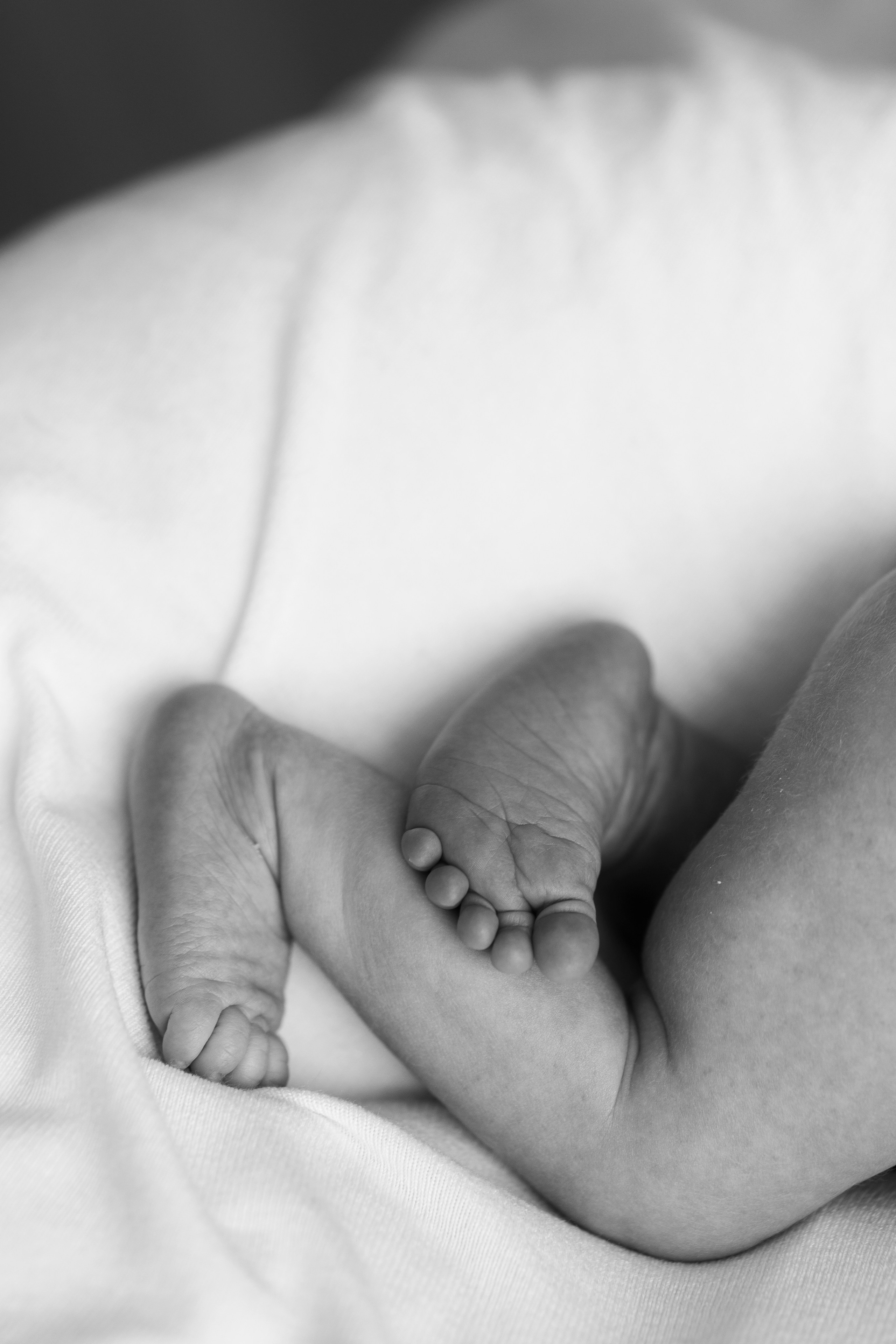 Оксана и Дима. Свадебный фотограф | Москва