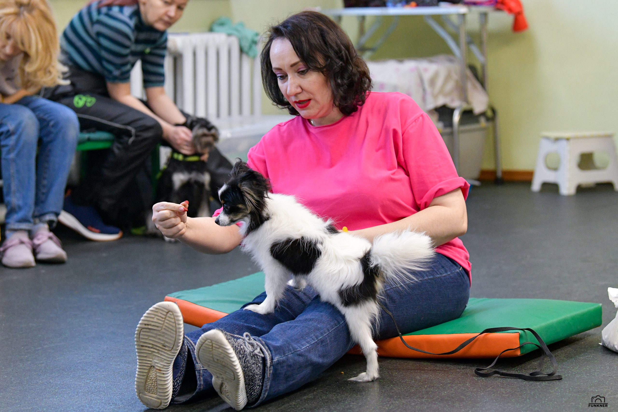 Кинологический клуб «Бодрый хвост». Свой взгляд через объектив