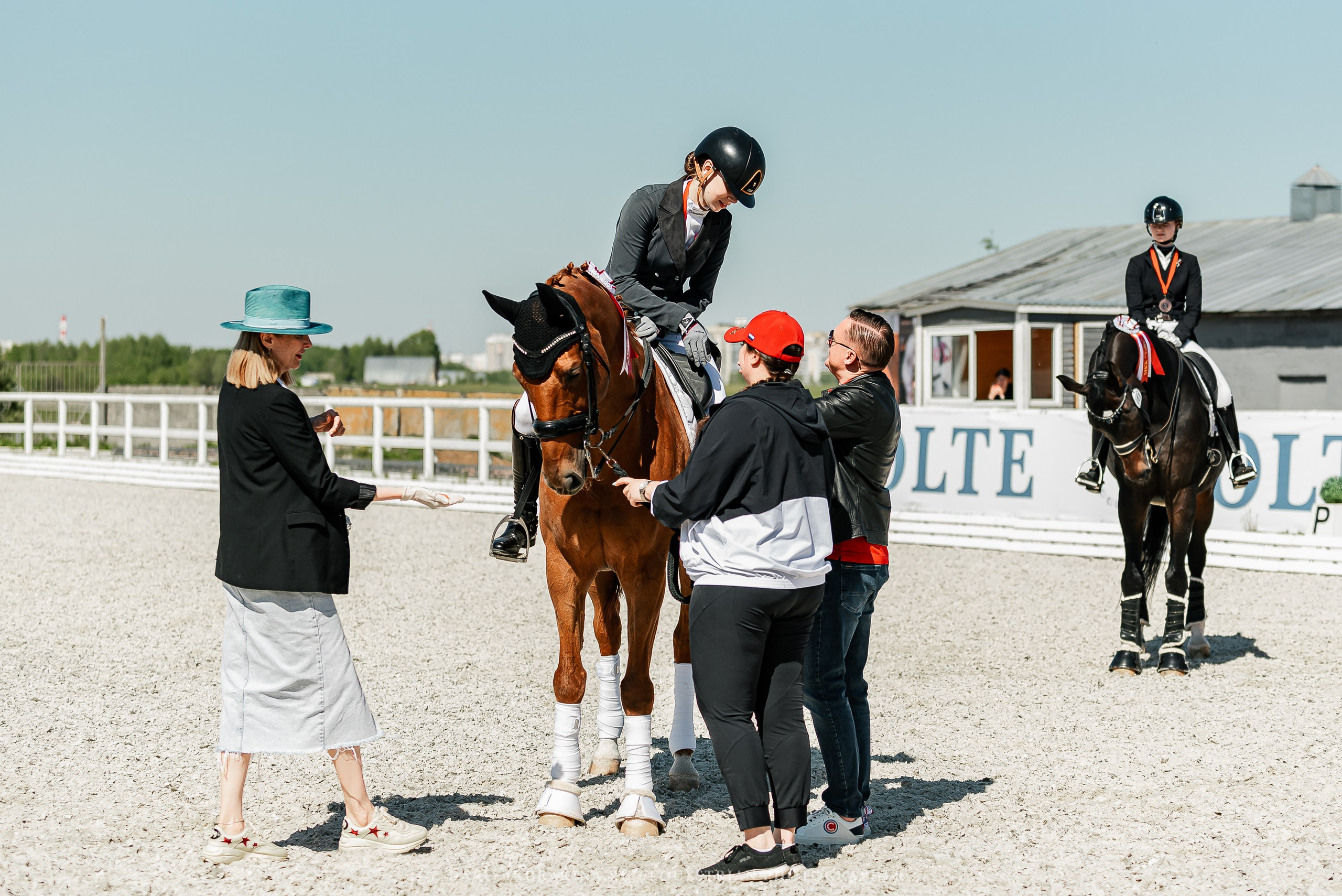 РЕПОРТАЖ МКК ВОЛЬТ «LA TULIPS». Конный фотограф Куракина Дарья • Фотосессии с лошадьми