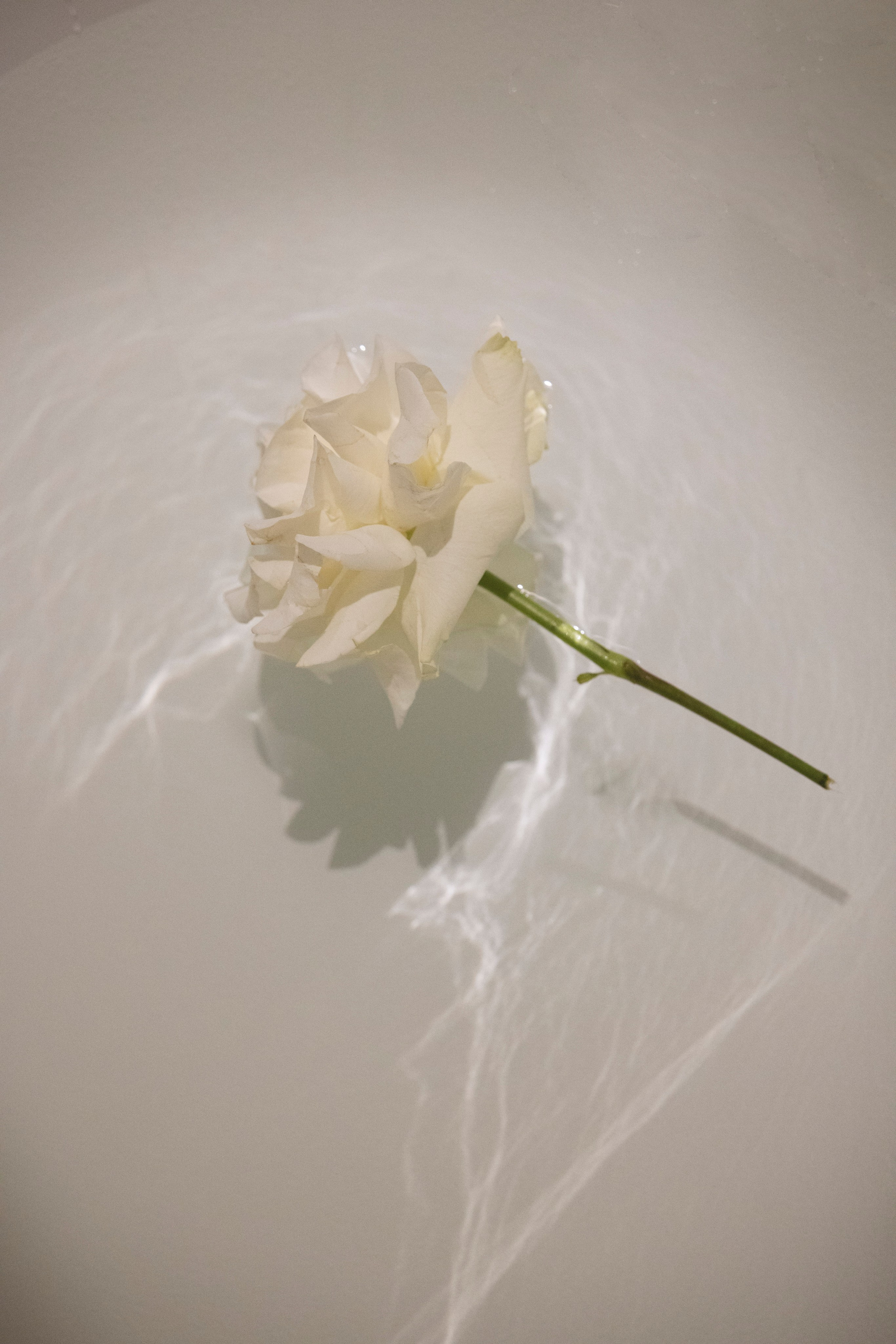 Ульяна и Кирилл. Свадебный и портретный фотограф