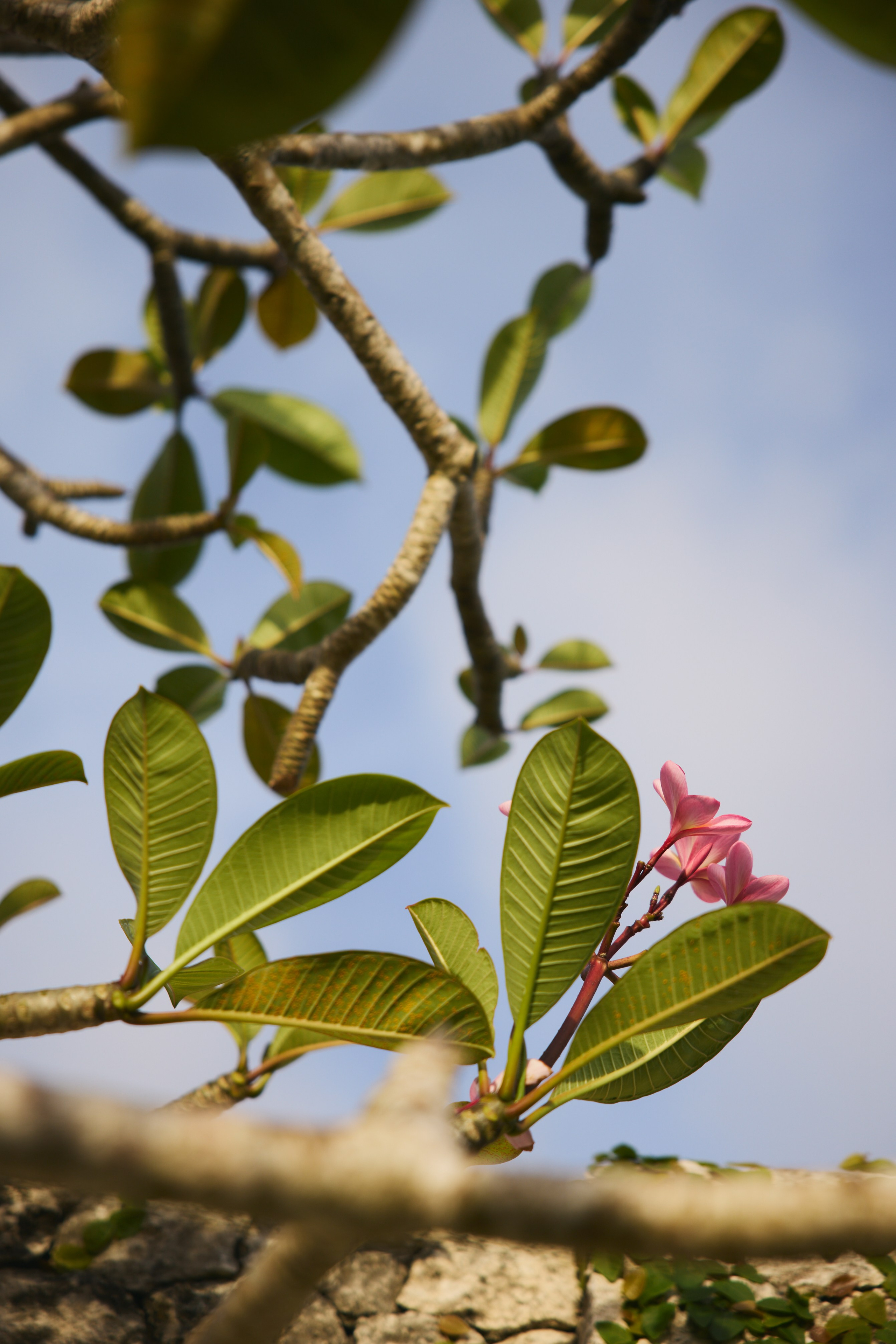 Ретрит Бали '26 «Be Your Own Muse»Март. Профессиональный фотограф Татьяна Евглевская