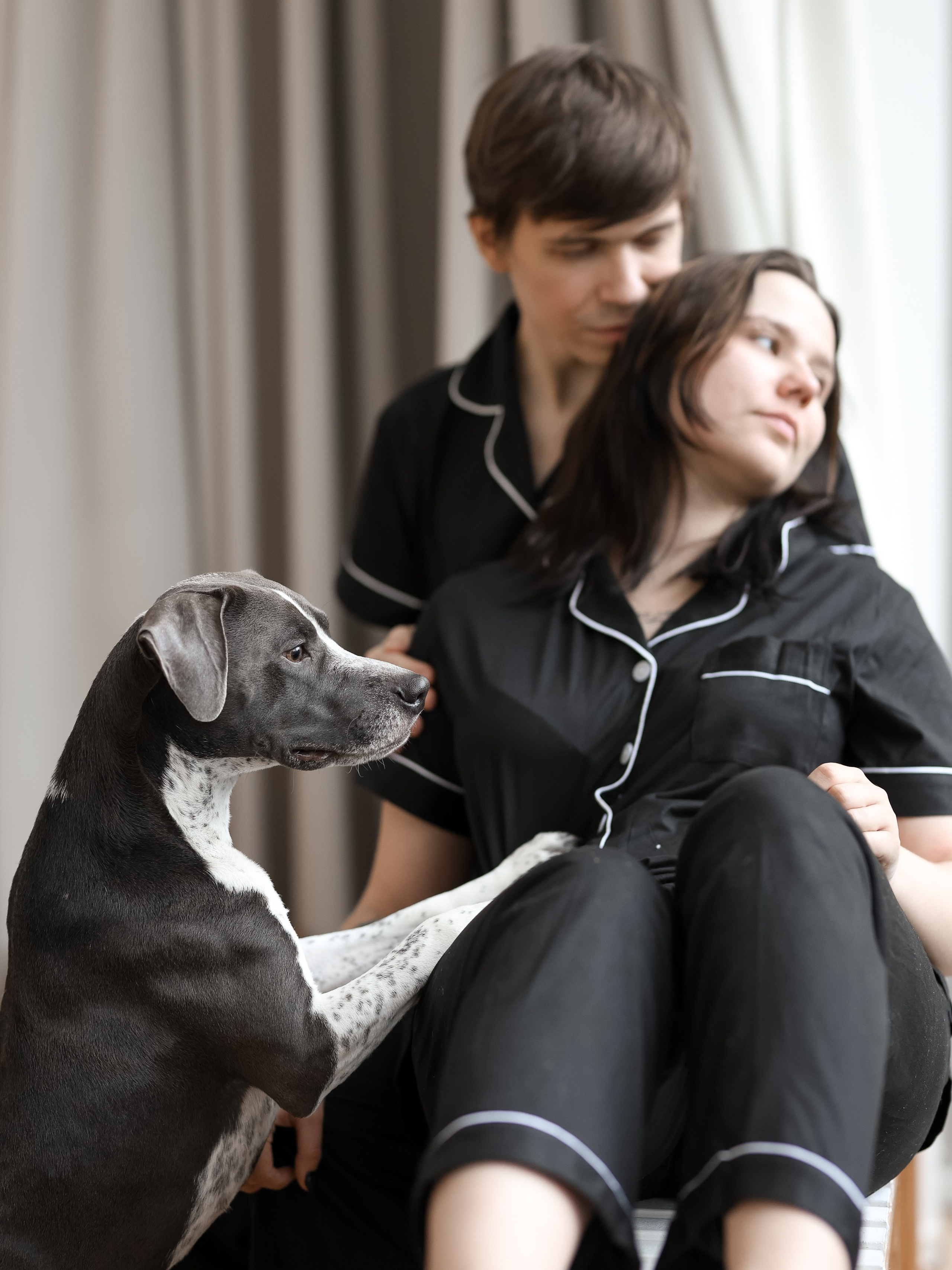 Тортик Даша и Никита. Фотограф-анималист в Москве Кириллова Татьяна