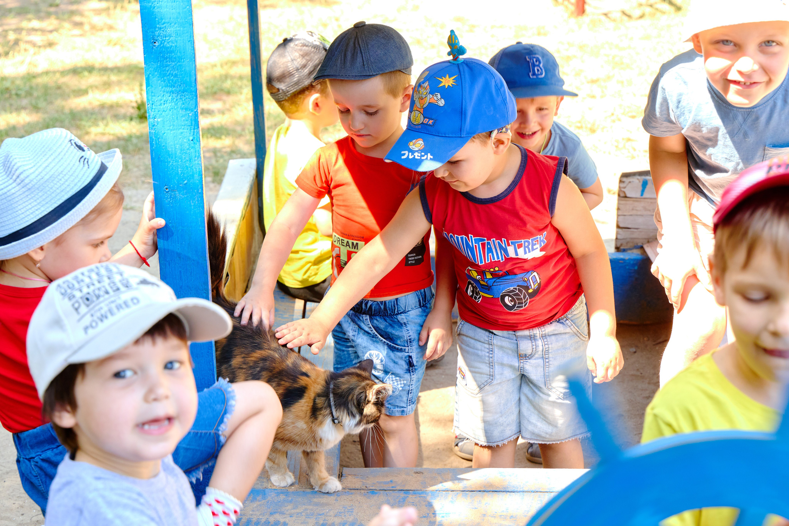 Пример летней съёмки в детском саду № 92 младшая группа Ромашки. Фотограф Выпускные альбомы Таганрог Сергей Коробченко