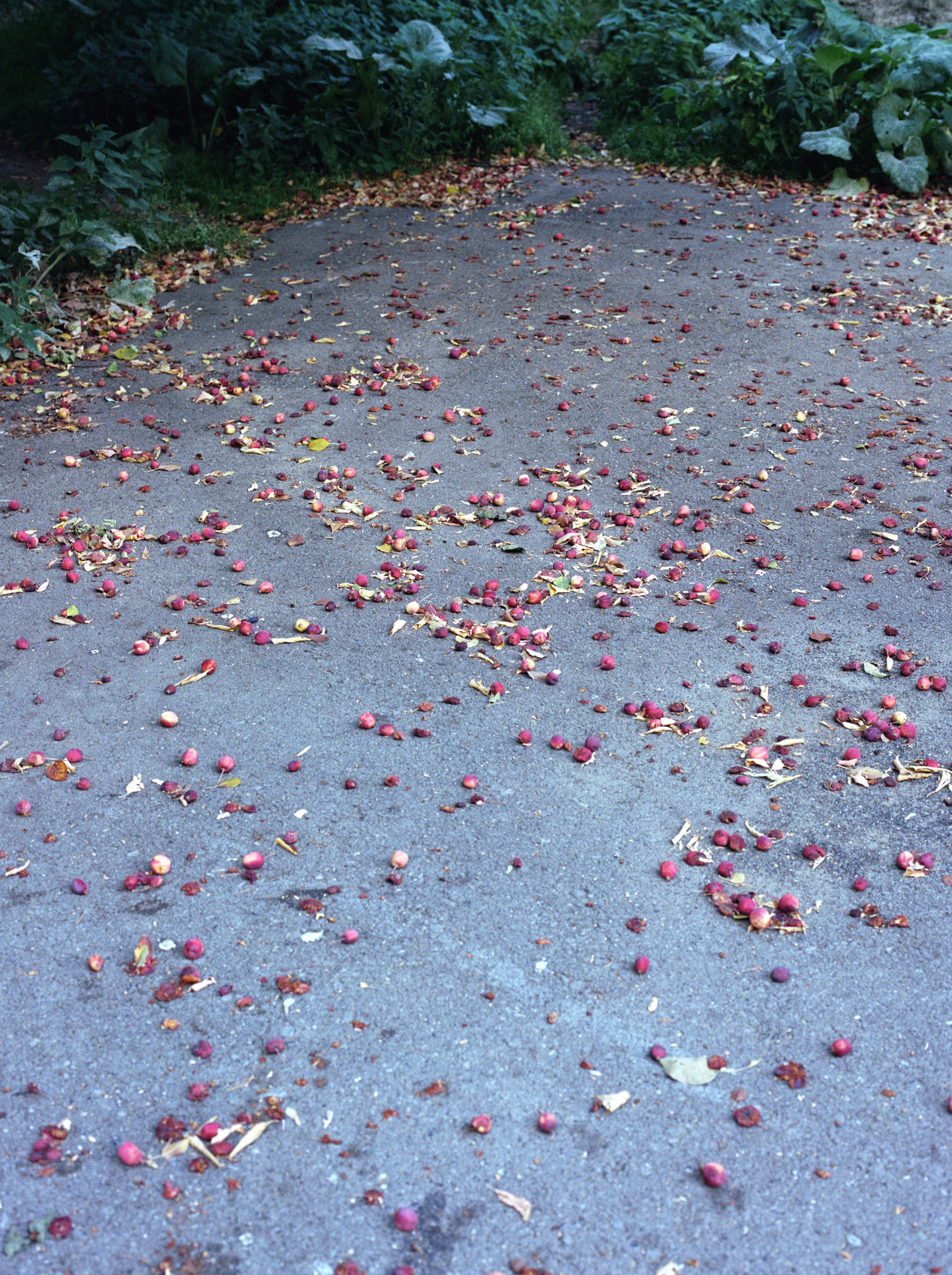 Seeker. Breus Sasha photography & art