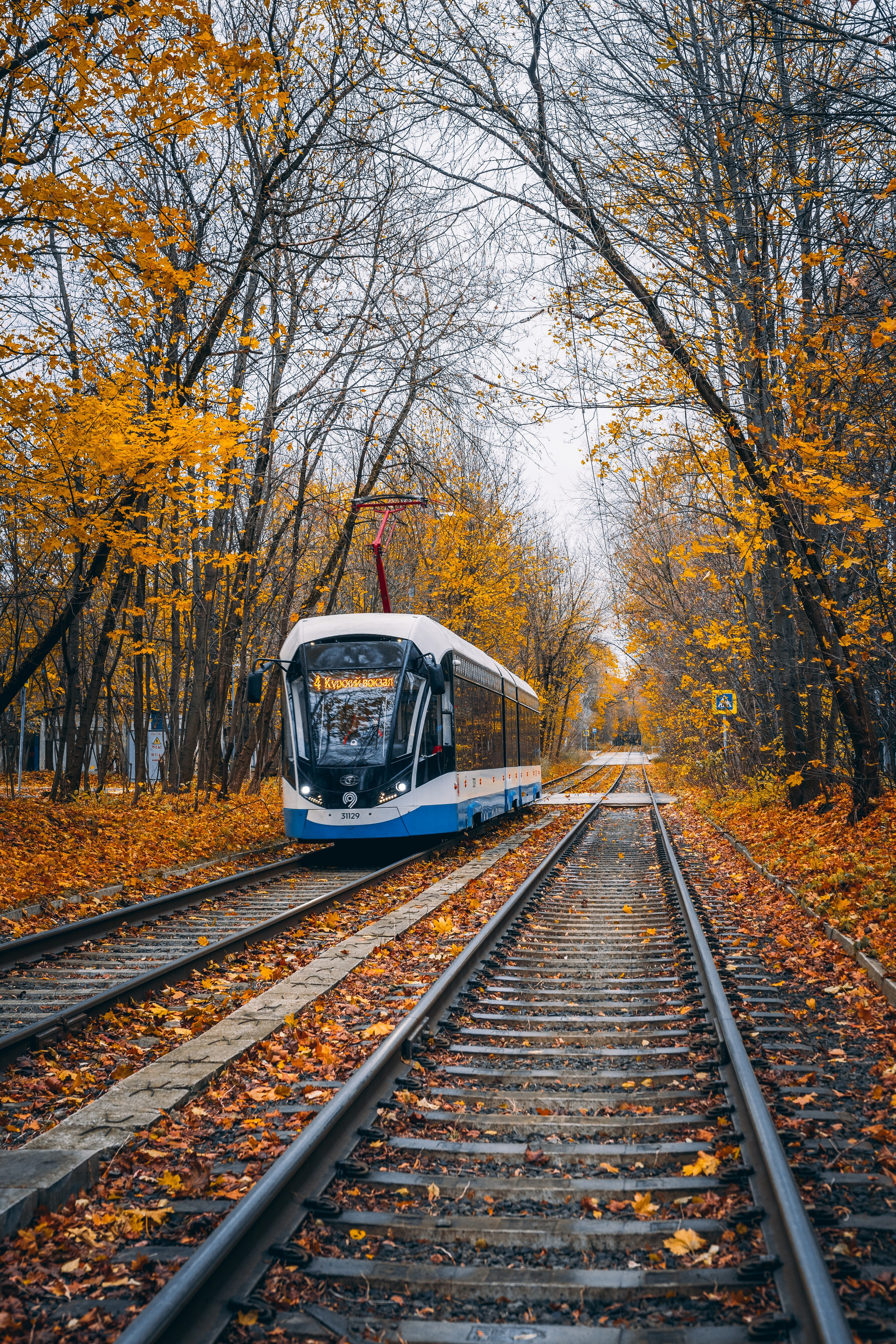 World. Фотограф в Санкт-Петербурге