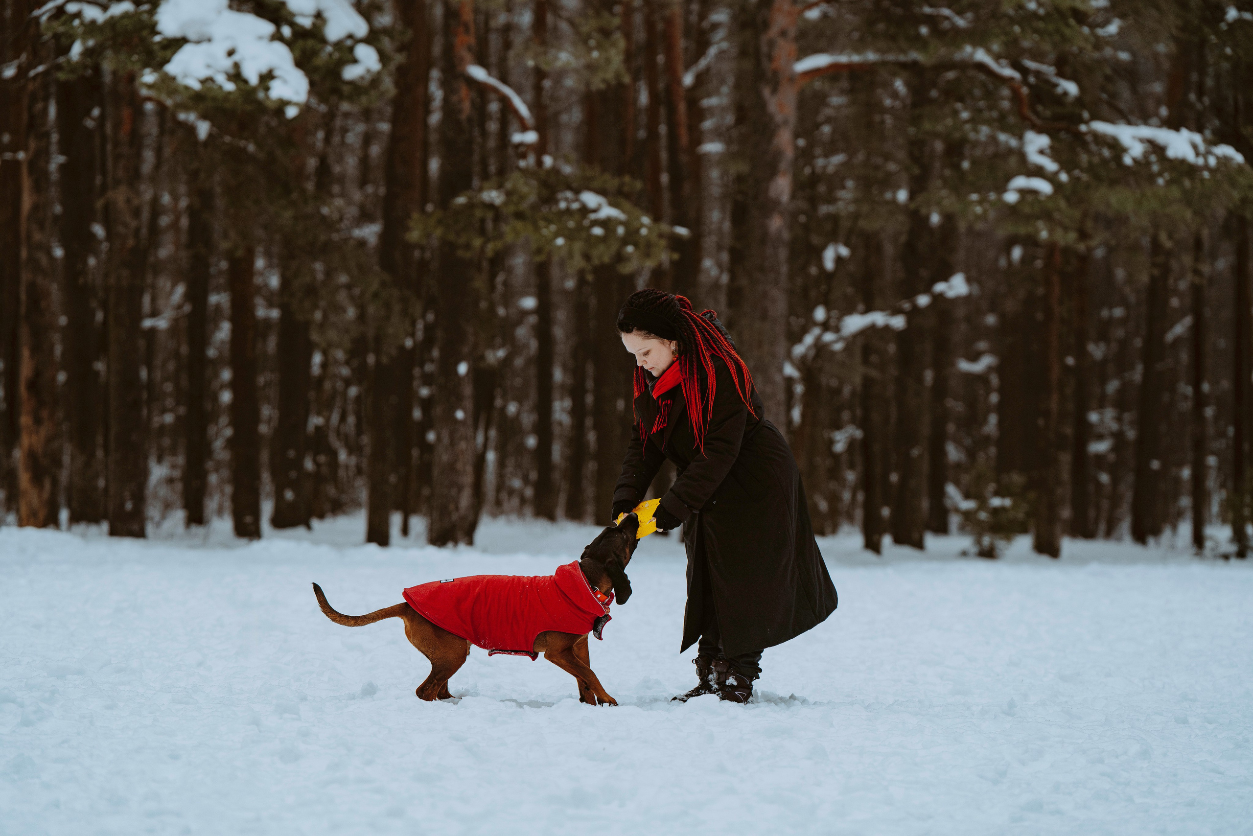 Ольга, Рора и Румпель. Фотограф анималист в Спб недорого Олеся Майорова