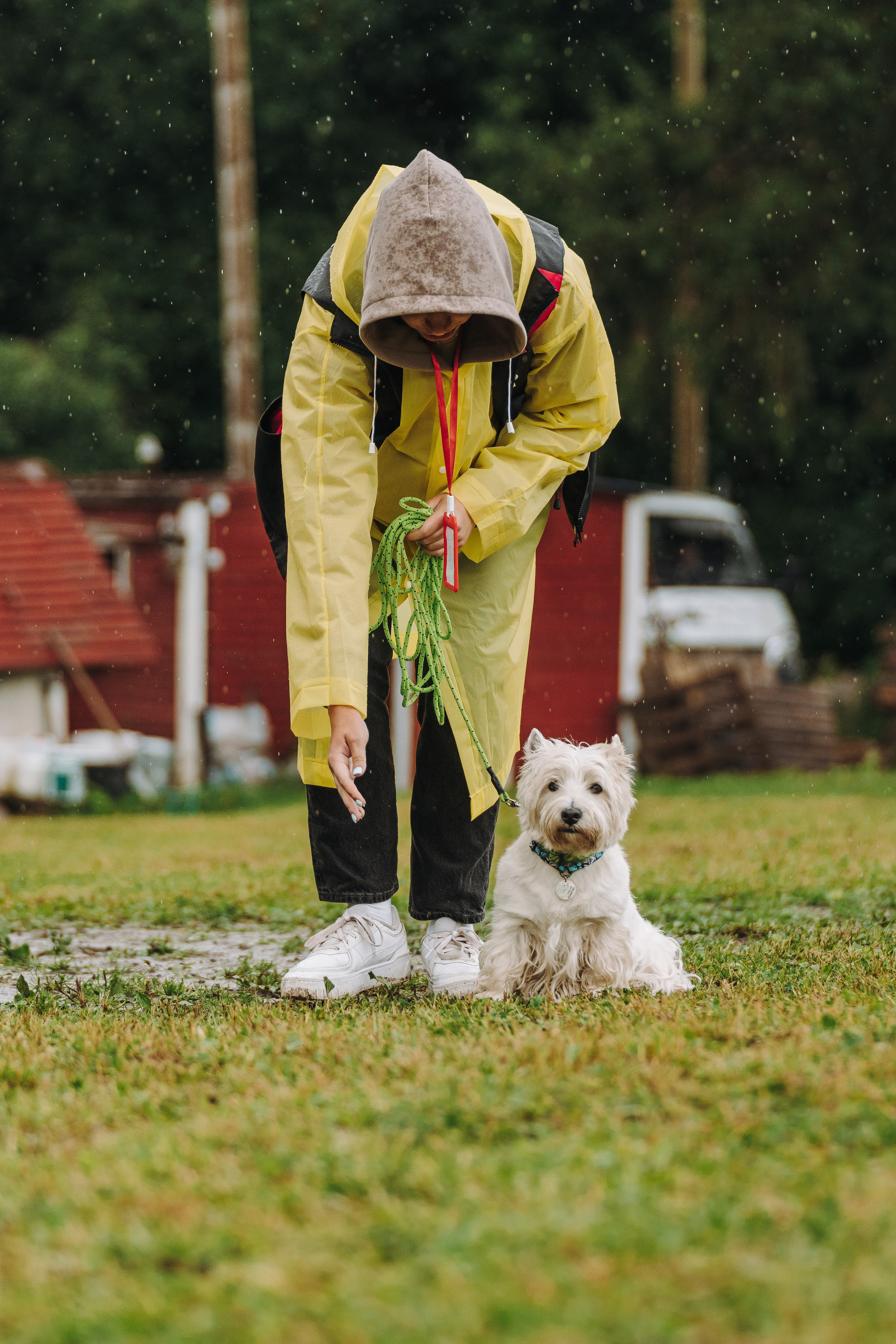 Соревнования по ноузворку в Новожилово. Фотограф анималист в Спб недорого Олеся Майорова