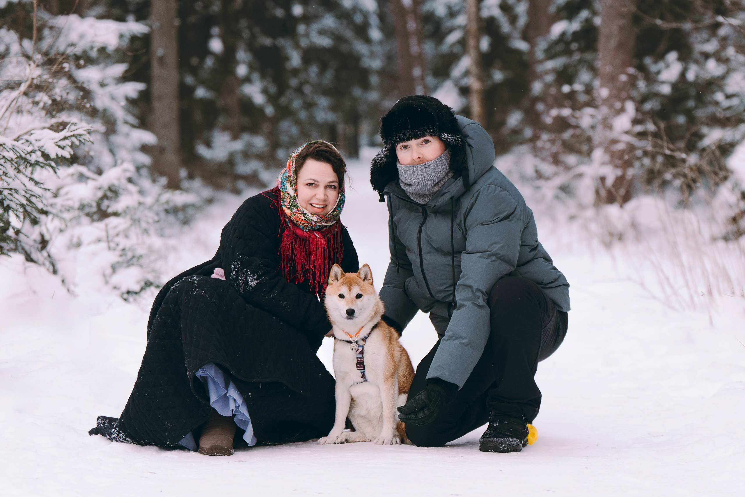 Каори, Анна и Антон. Фотограф анималист в Спб недорого Олеся Майорова