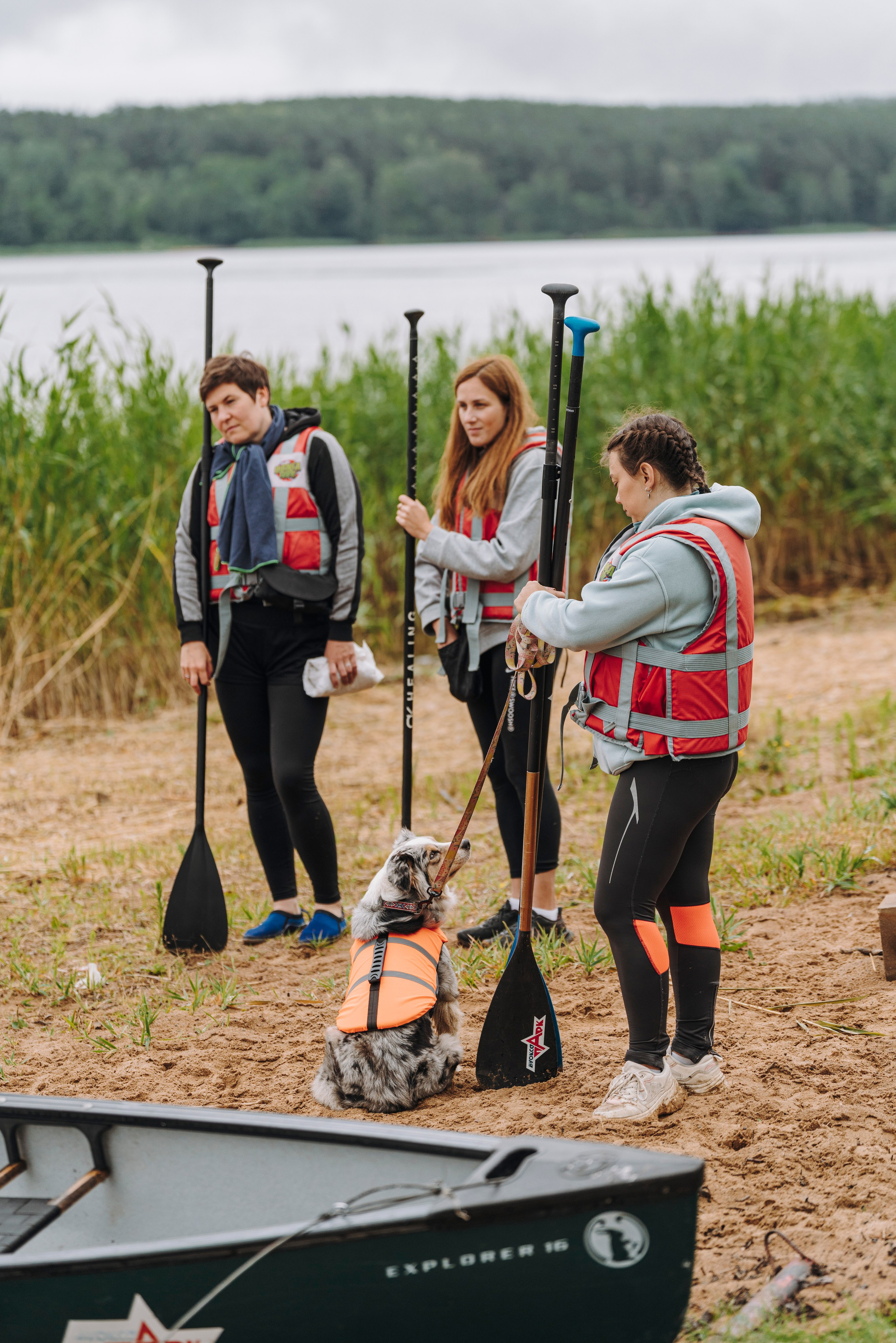 Катание на сапах с собаками. Фотограф анималист в Спб недорого Олеся Майорова
