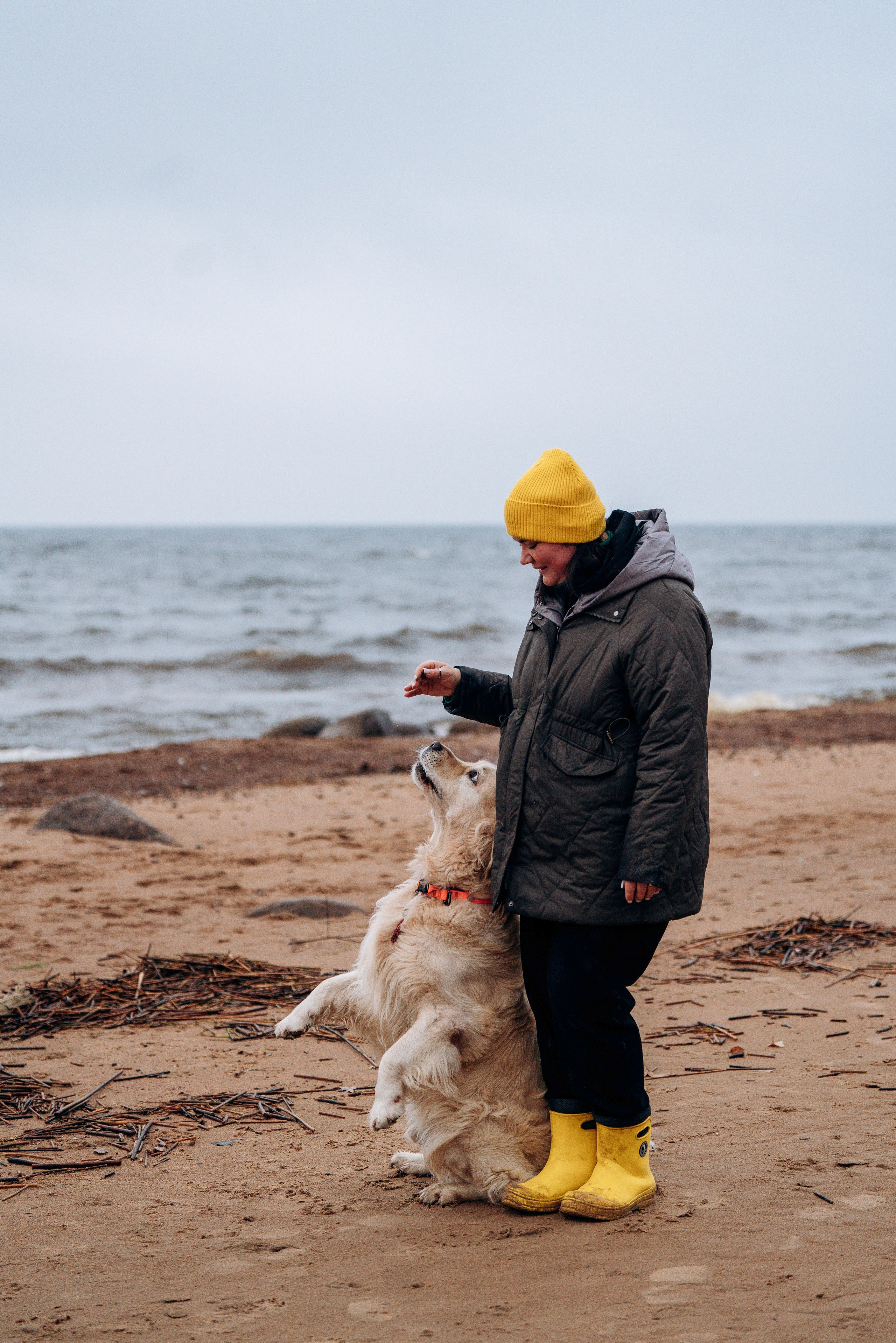 Асти, Крис и Александра. Фотограф анималист в Спб недорого Олеся Майорова