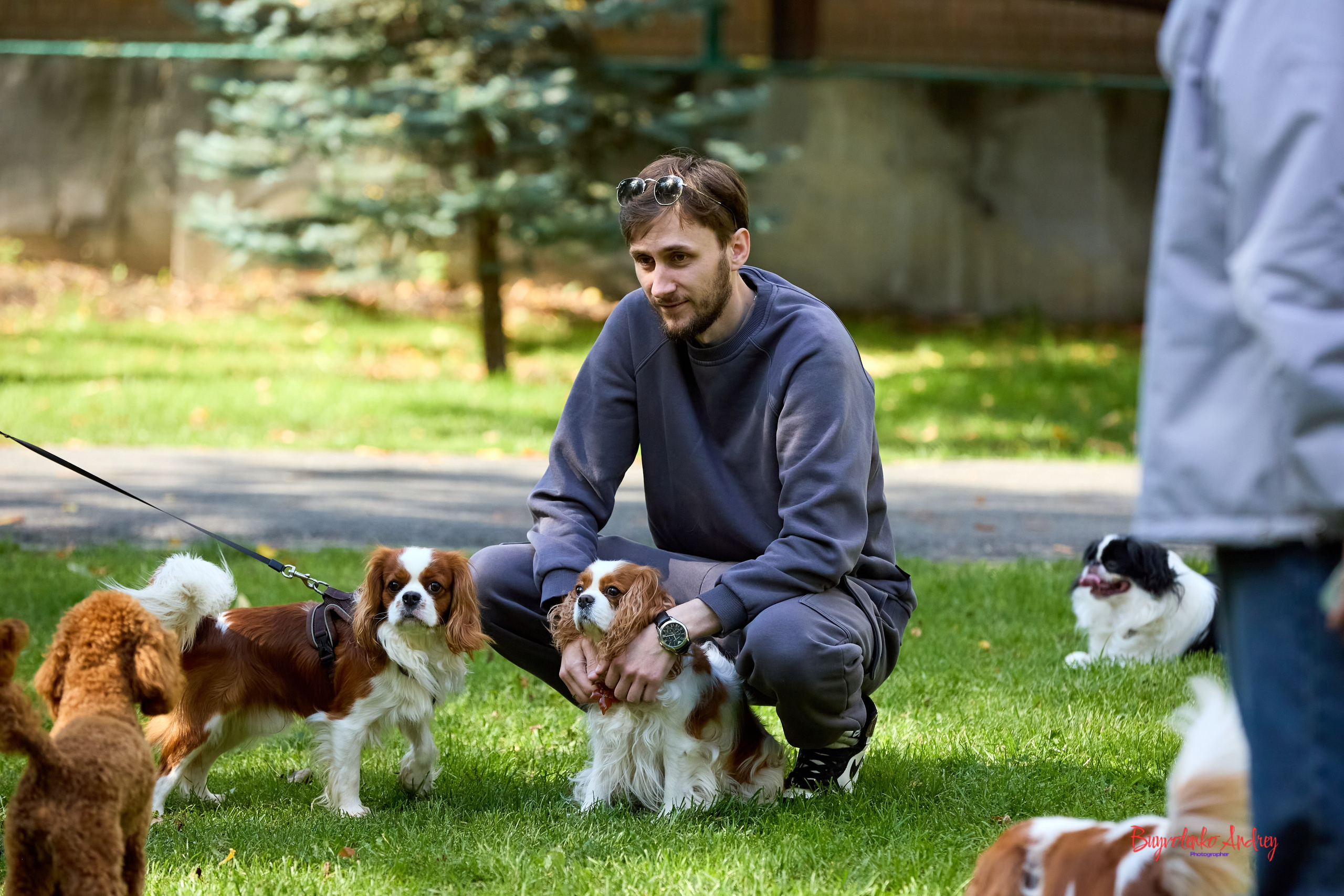 Фотопрогулка с кавалерами. Buyvolenko Andrey