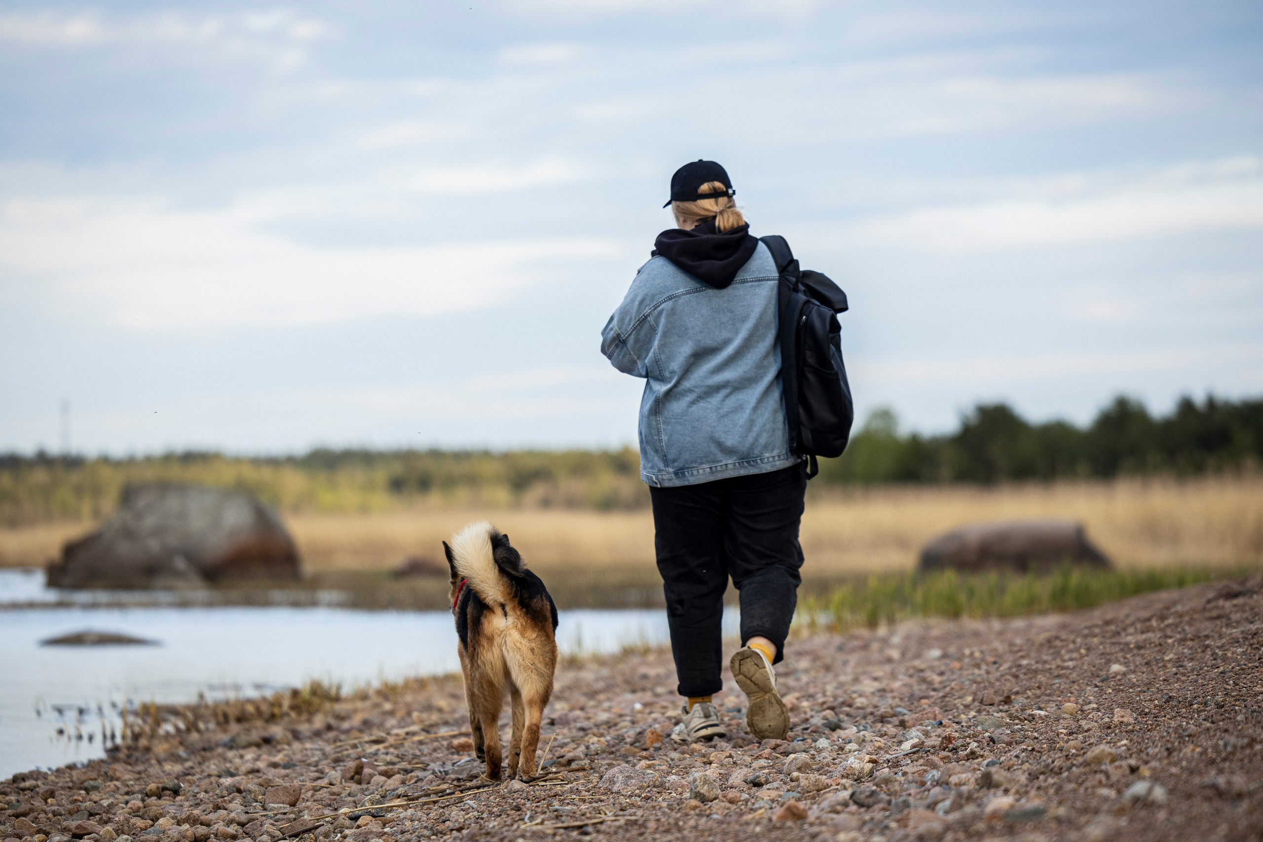 Ричард залив. Фотограф-анималист Анна Маринич